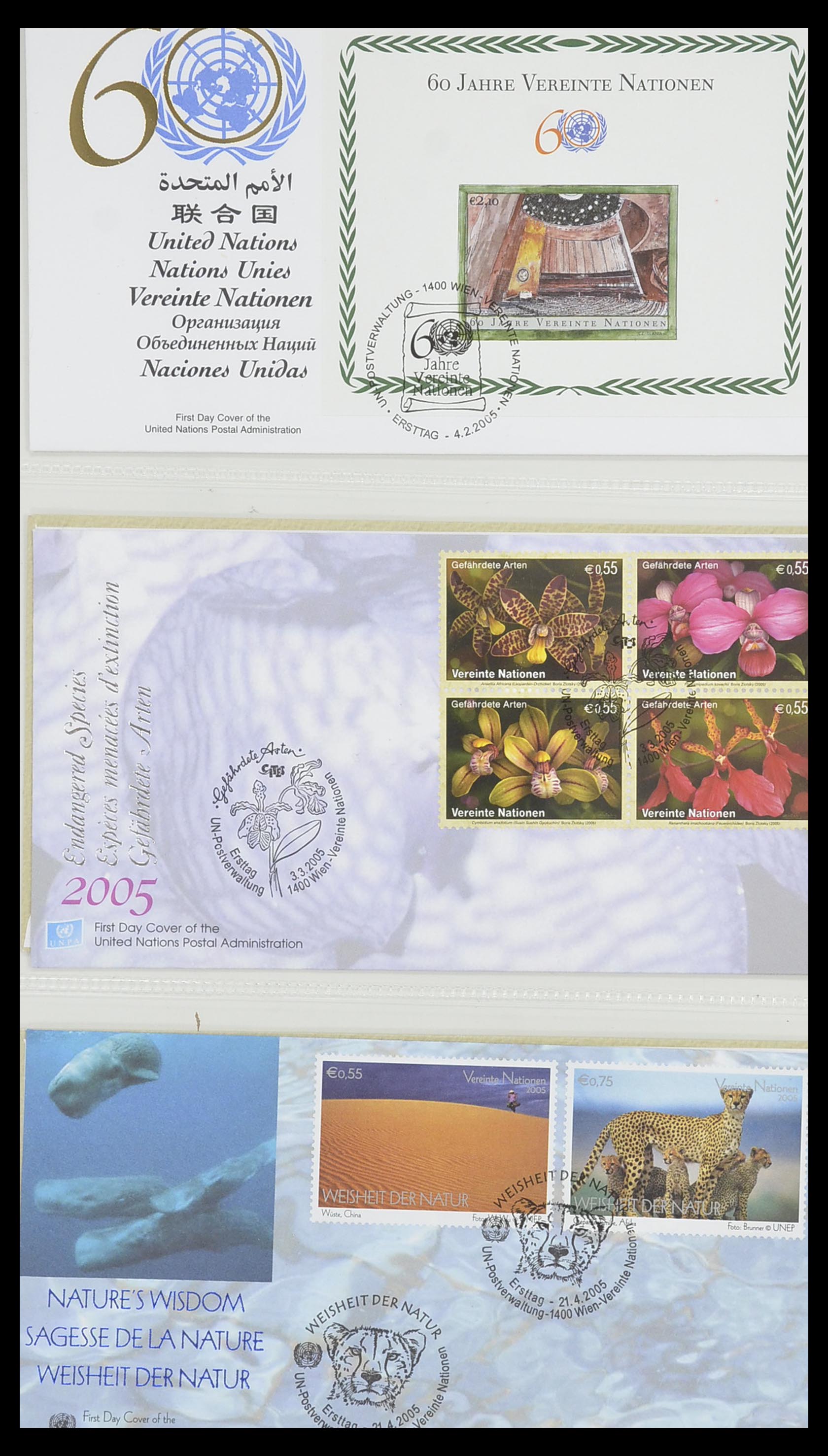 33535 131 - Postzegelverzameling 33535 Verenigde Naties 1951-2008.