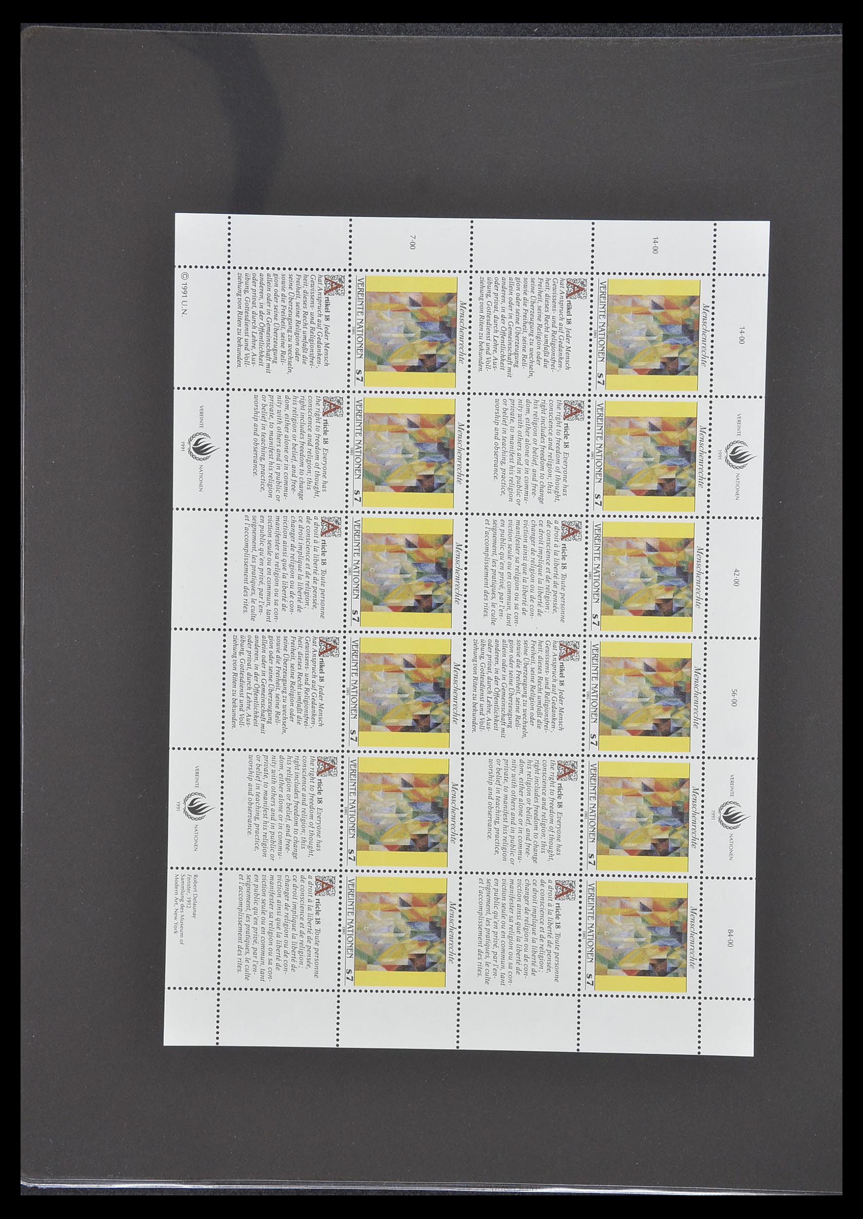 33535 249 - Postzegelverzameling 33535 Verenigde Naties 1951-2008.