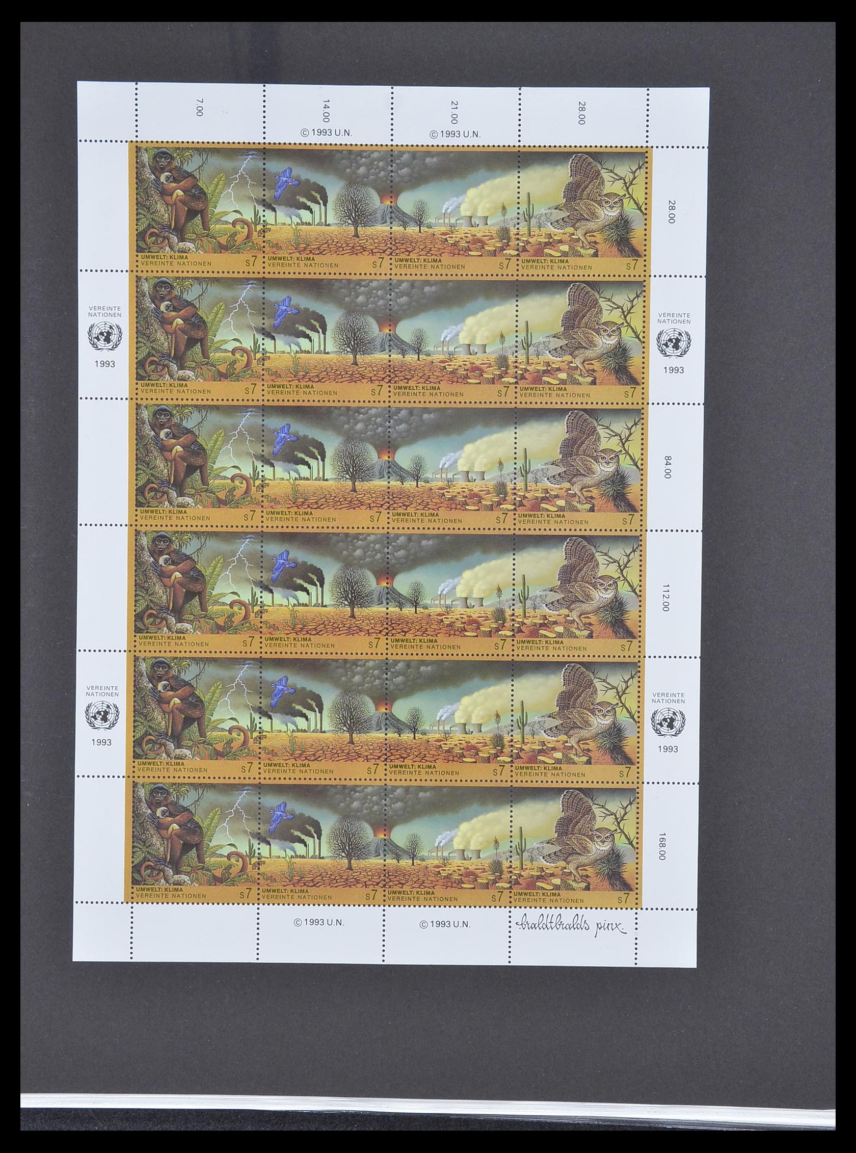 33535 255 - Postzegelverzameling 33535 Verenigde Naties 1951-2008.