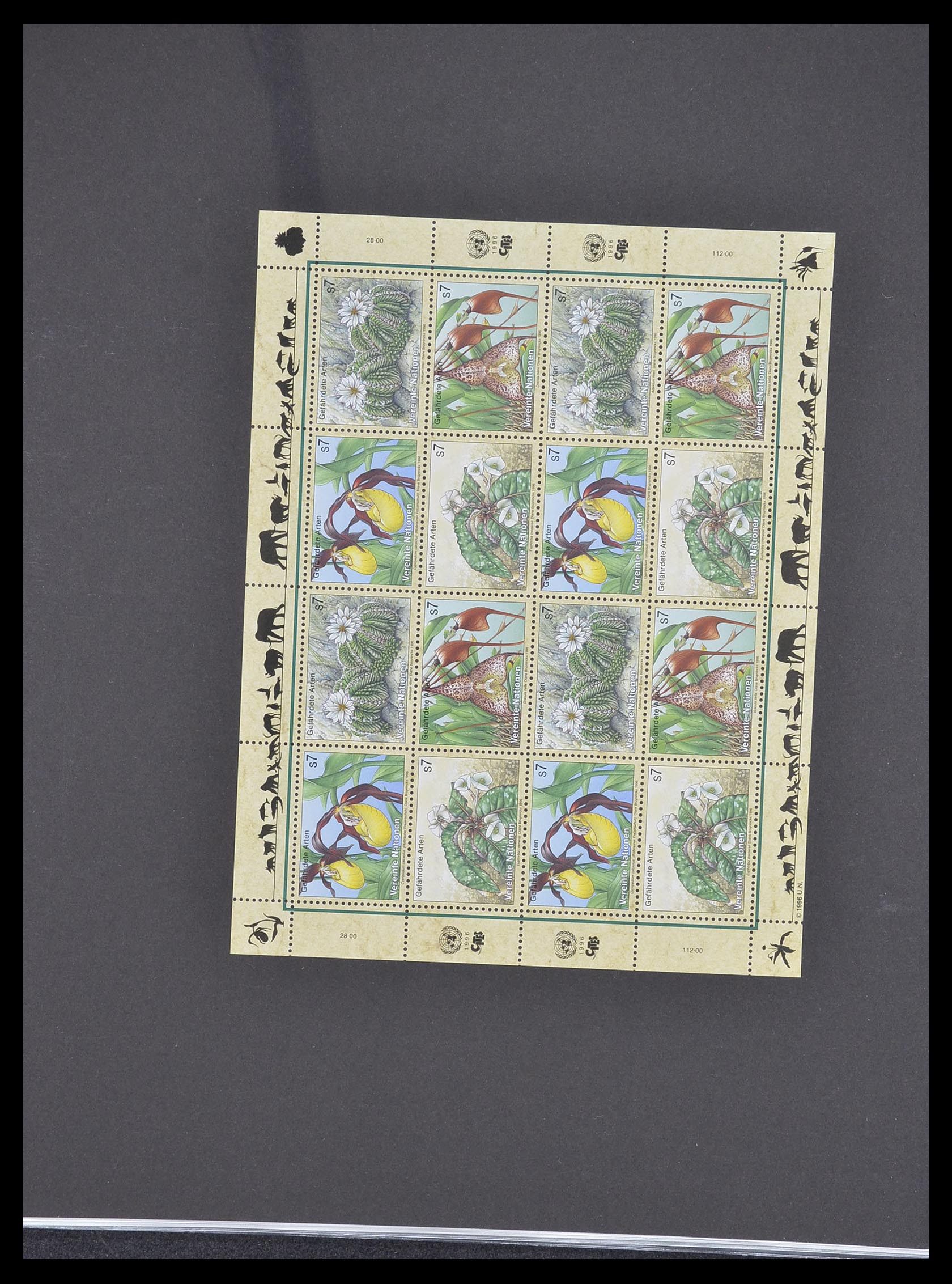 33535 259 - Postzegelverzameling 33535 Verenigde Naties 1951-2008.