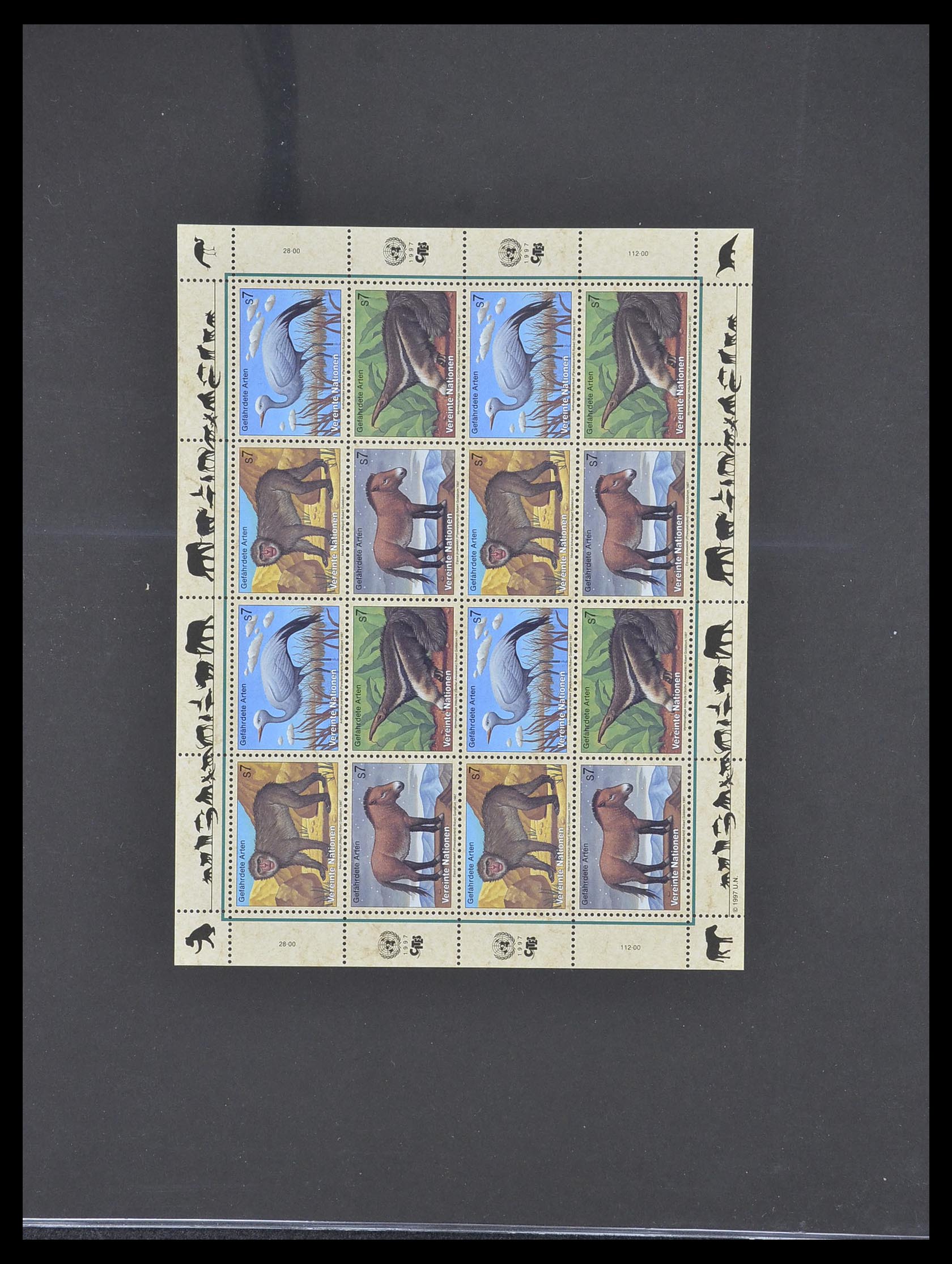 33535 262 - Postzegelverzameling 33535 Verenigde Naties 1951-2008.