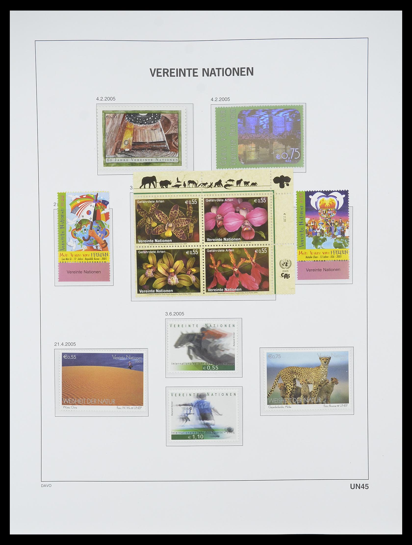 33535 281 - Postzegelverzameling 33535 Verenigde Naties 1951-2008.