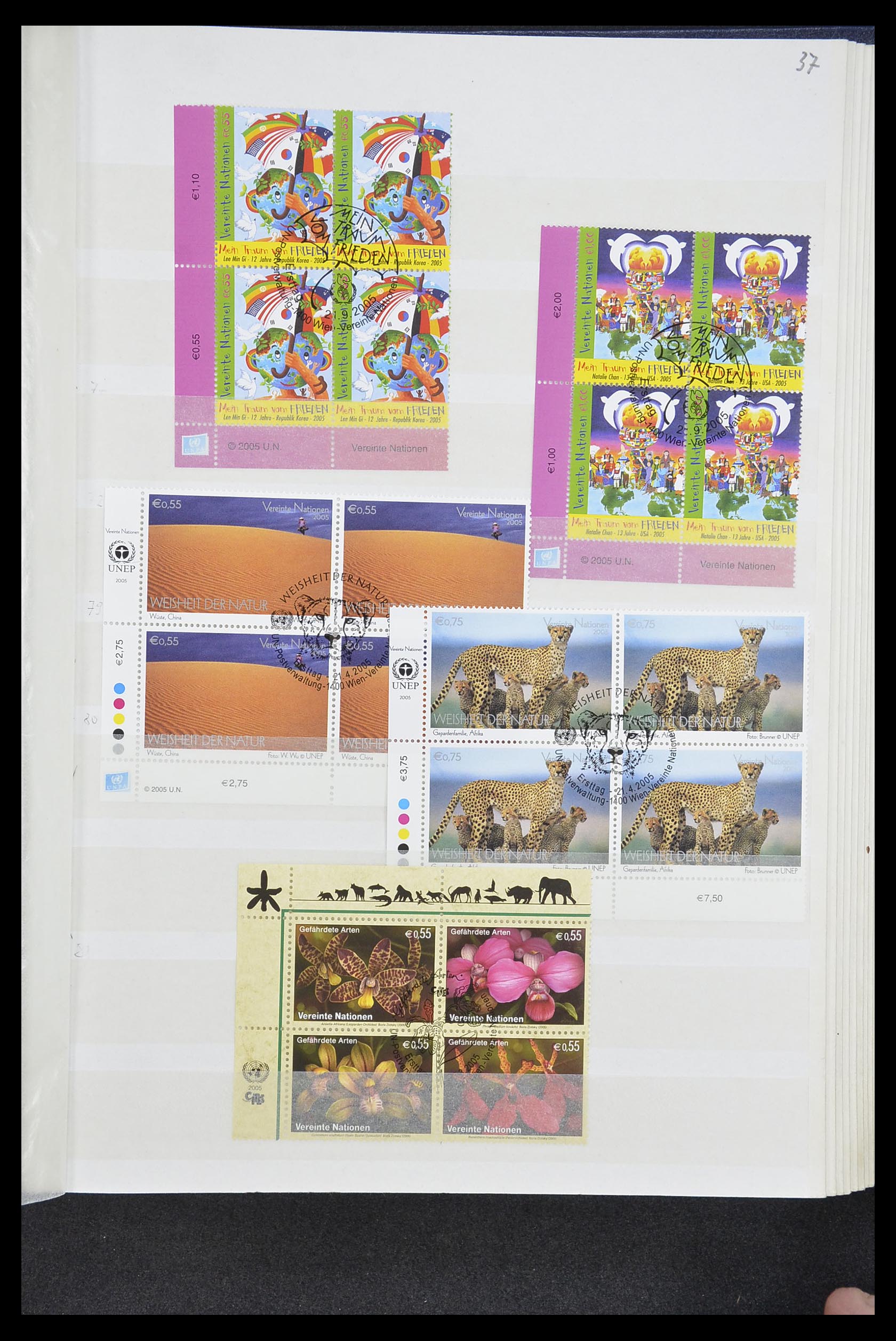 33535 376 - Postzegelverzameling 33535 Verenigde Naties 1951-2008.