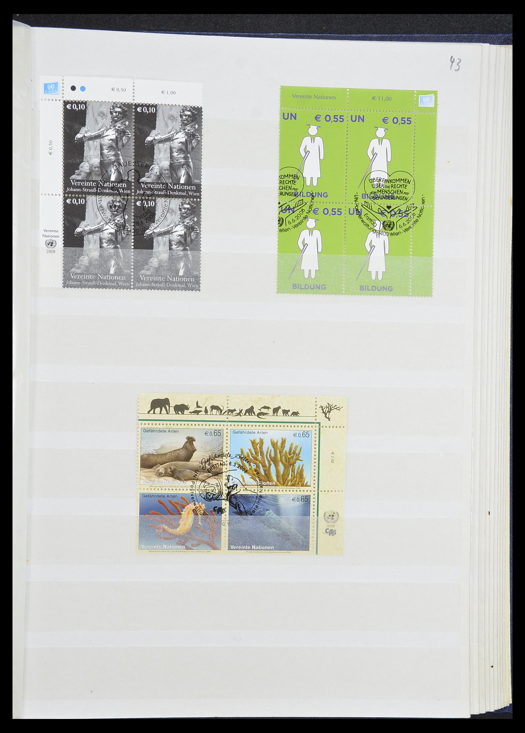 33535 382 - Postzegelverzameling 33535 Verenigde Naties 1951-2008.