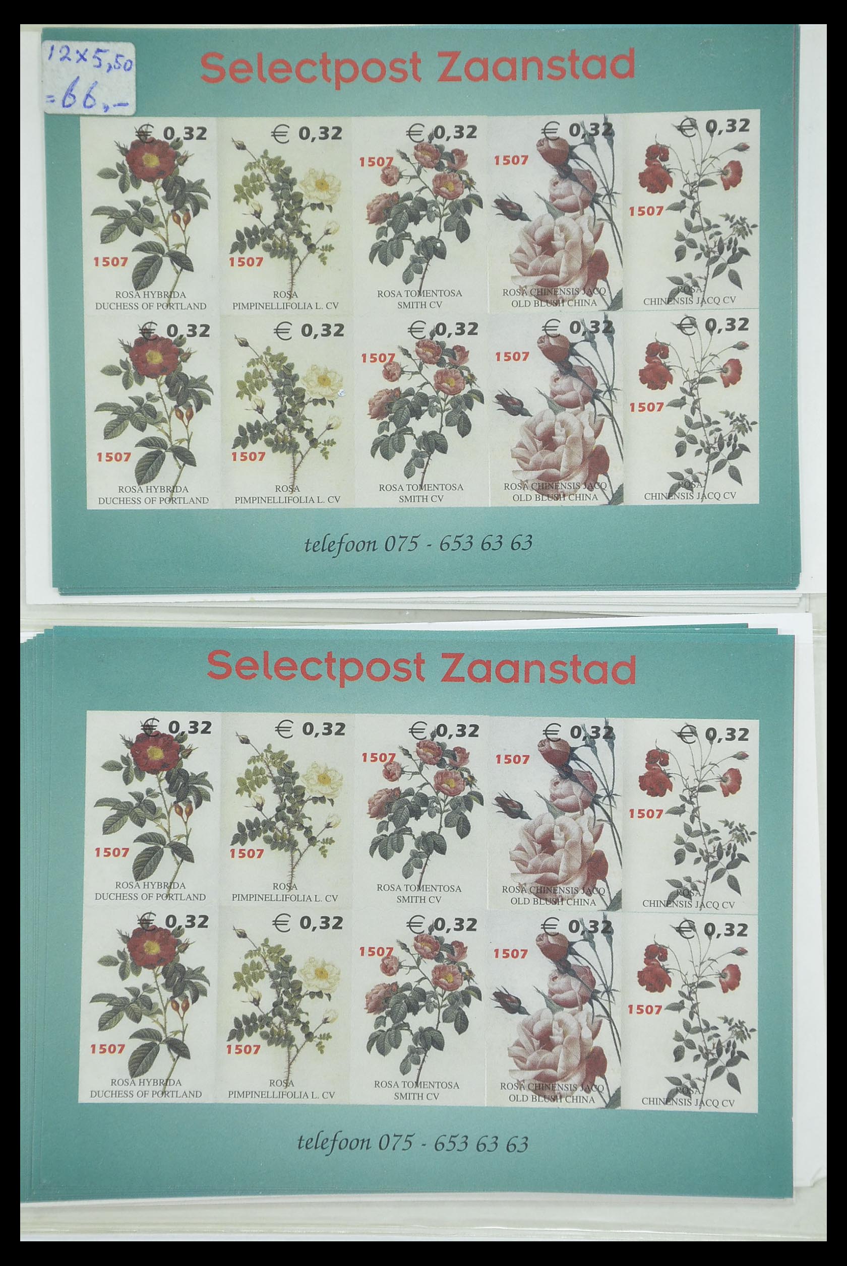 33543 099 - Postzegelverzameling 33543 Nederland stadspost 1969-2017.