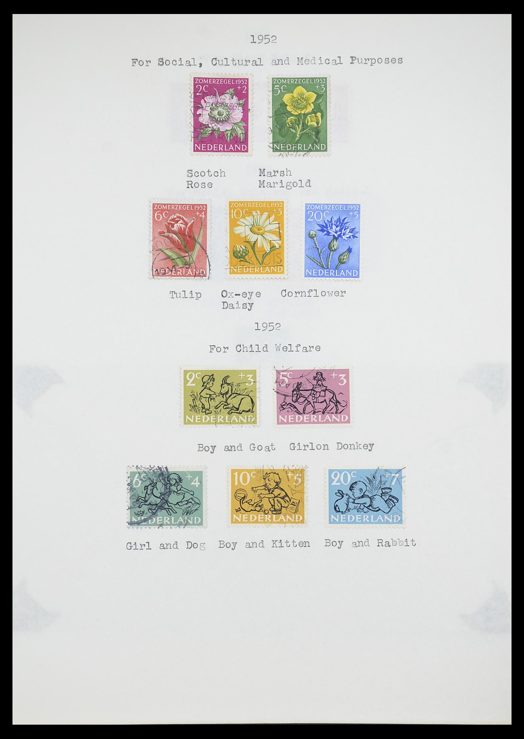 33662 145 - Postzegelverzameling 33662 Nederland 1852-1995.