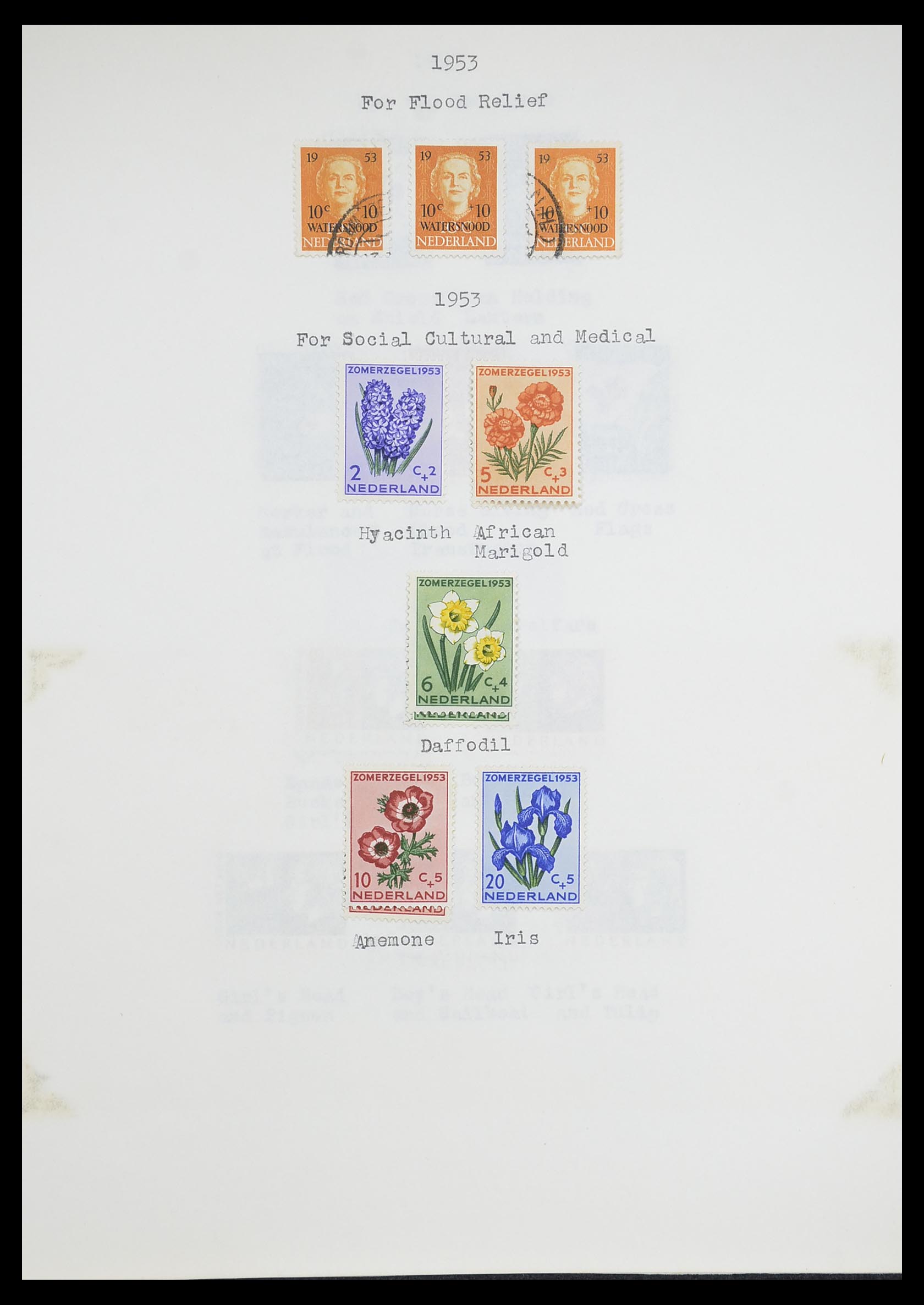 33662 147 - Postzegelverzameling 33662 Nederland 1852-1995.