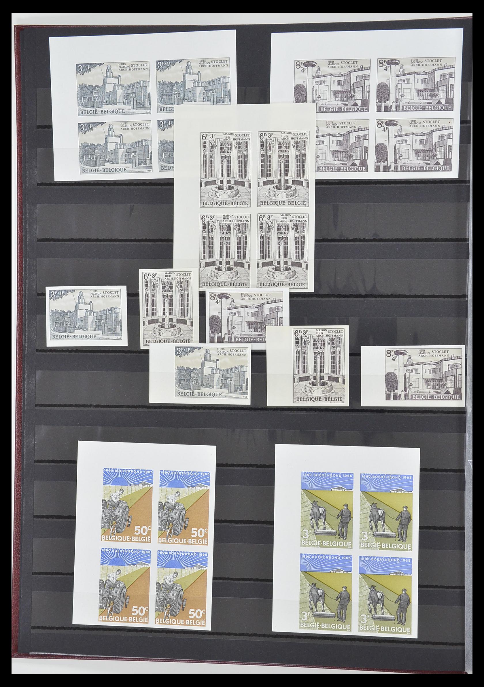 33765 004 - Postzegelverzameling 33765 België ONGETAND 1960-2019!
