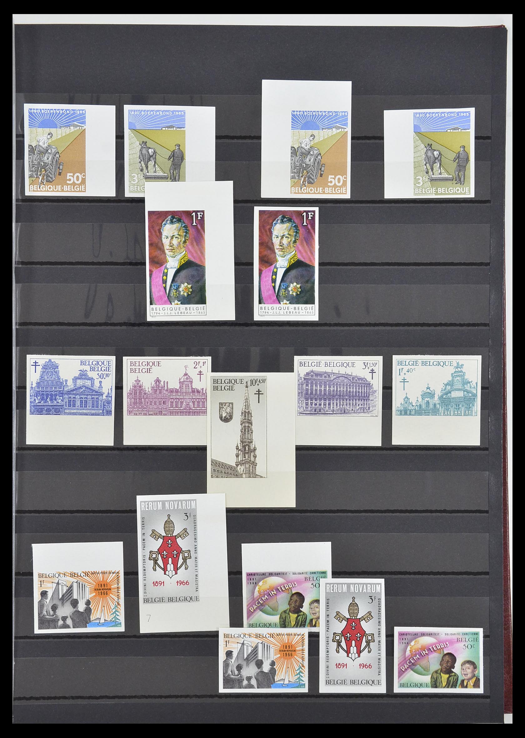 33765 005 - Postzegelverzameling 33765 België ONGETAND 1960-2019!