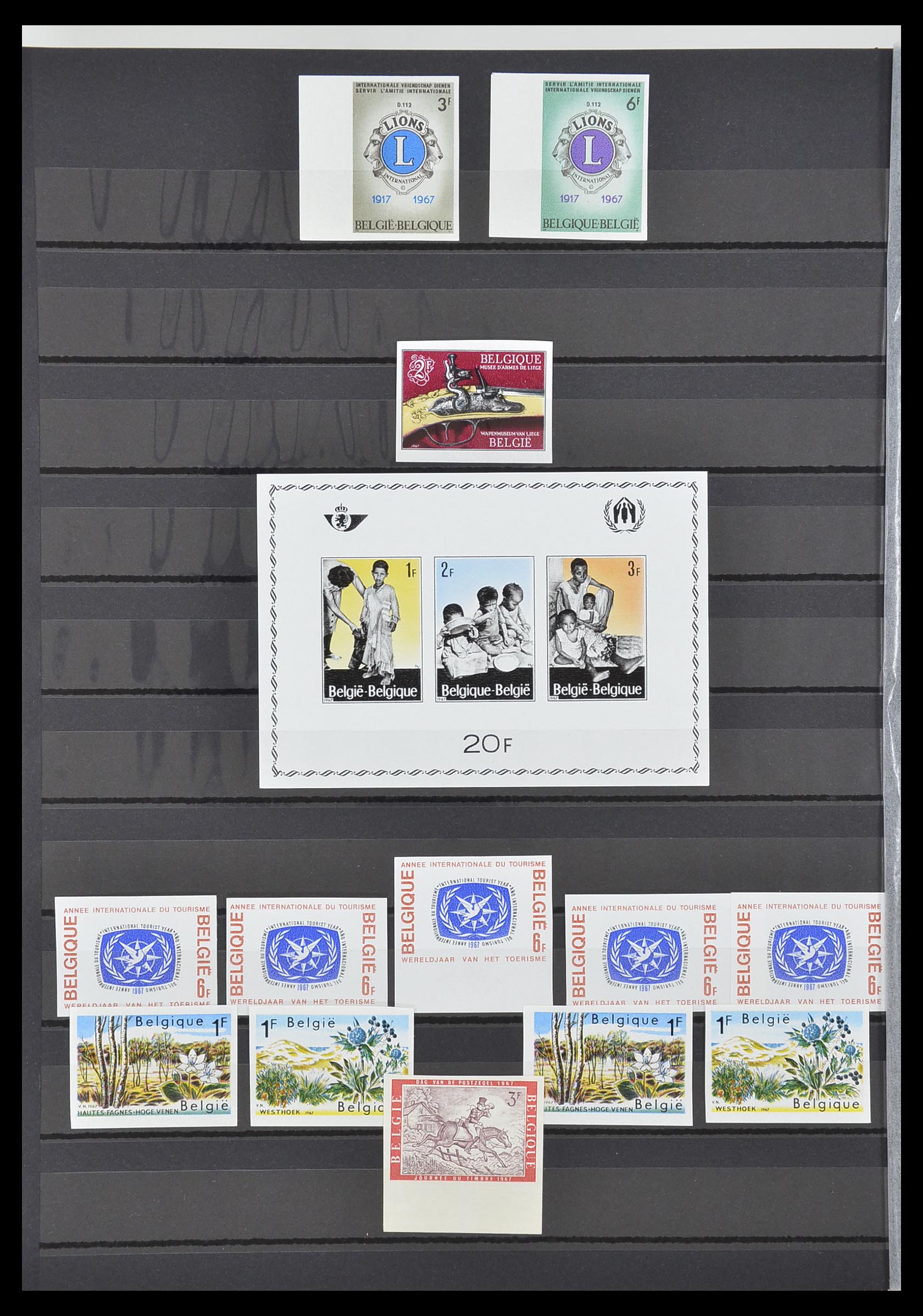 33765 008 - Postzegelverzameling 33765 België ONGETAND 1960-2019!