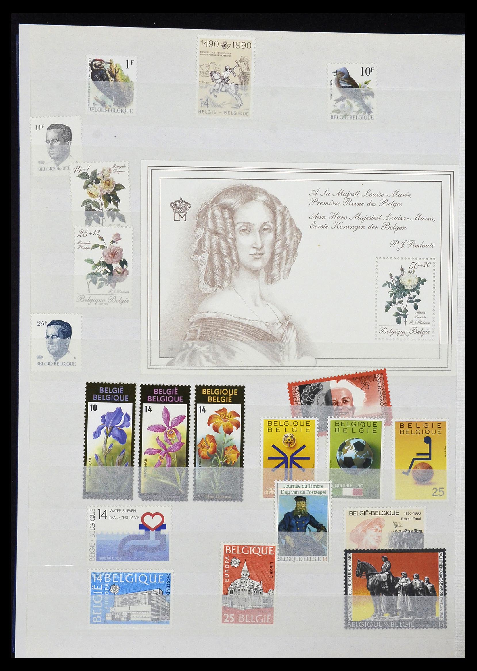 34019 053 - Postzegelverzameling 34019 België 1960-2004.
