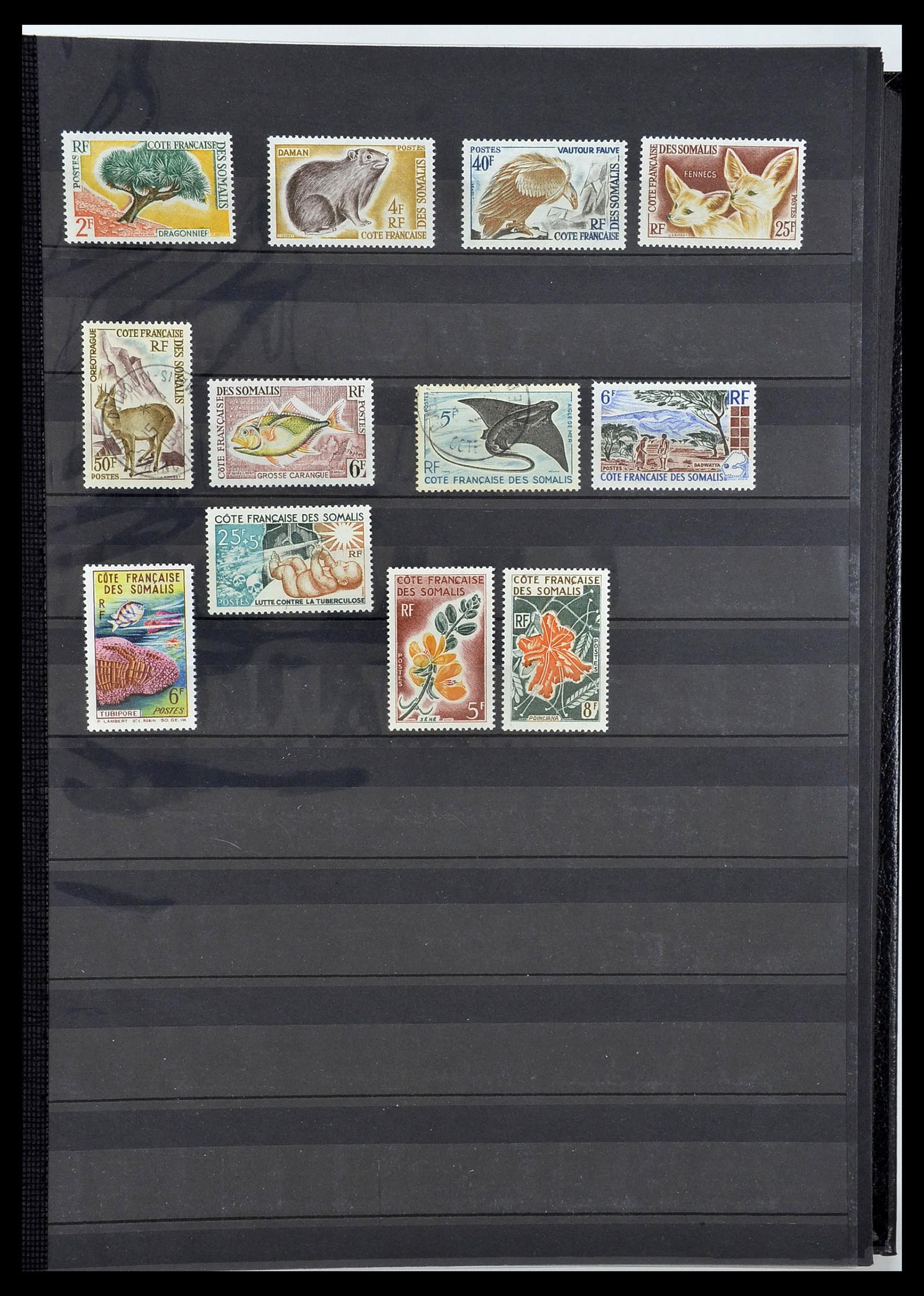 34190 0722 - Postzegelverzameling 34190 Franse koloniën in Afrika 1885-1998.