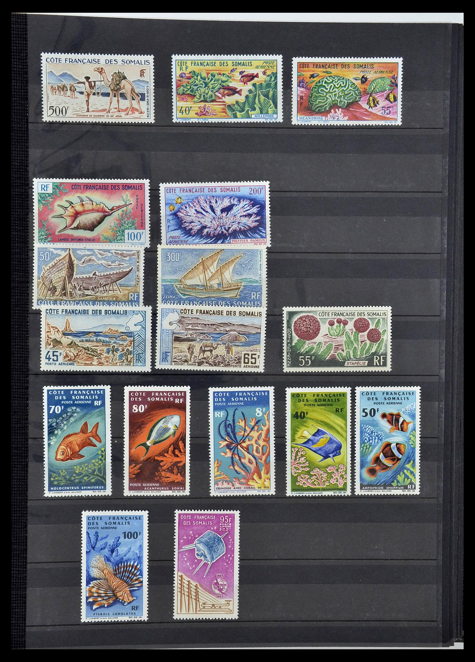 34190 0725 - Postzegelverzameling 34190 Franse koloniën in Afrika 1885-1998.
