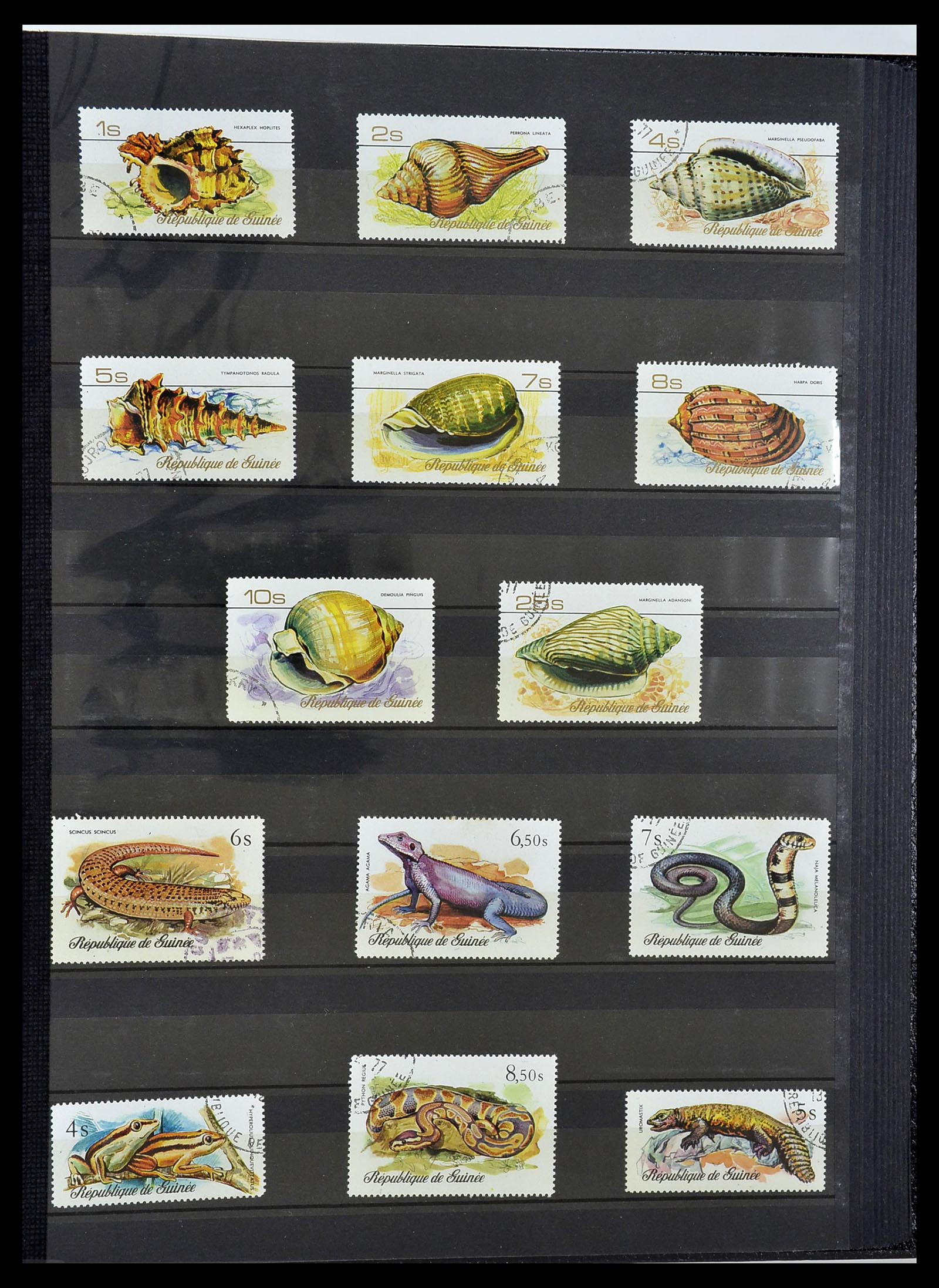 34190 0843 - Postzegelverzameling 34190 Franse koloniën in Afrika 1885-1998.