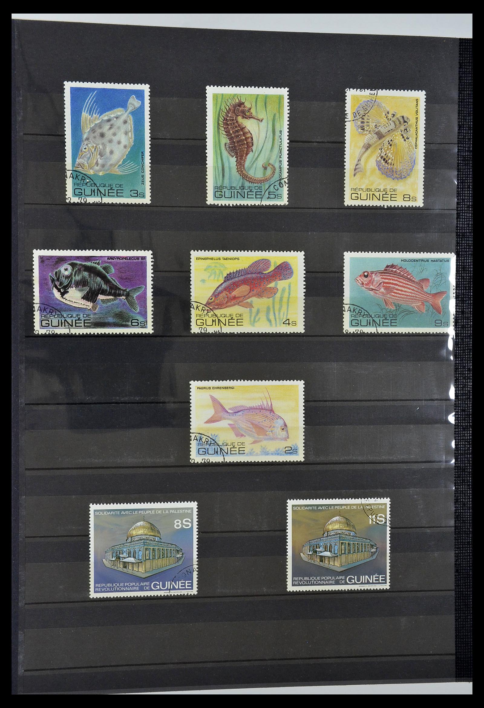 34190 0846 - Postzegelverzameling 34190 Franse koloniën in Afrika 1885-1998.