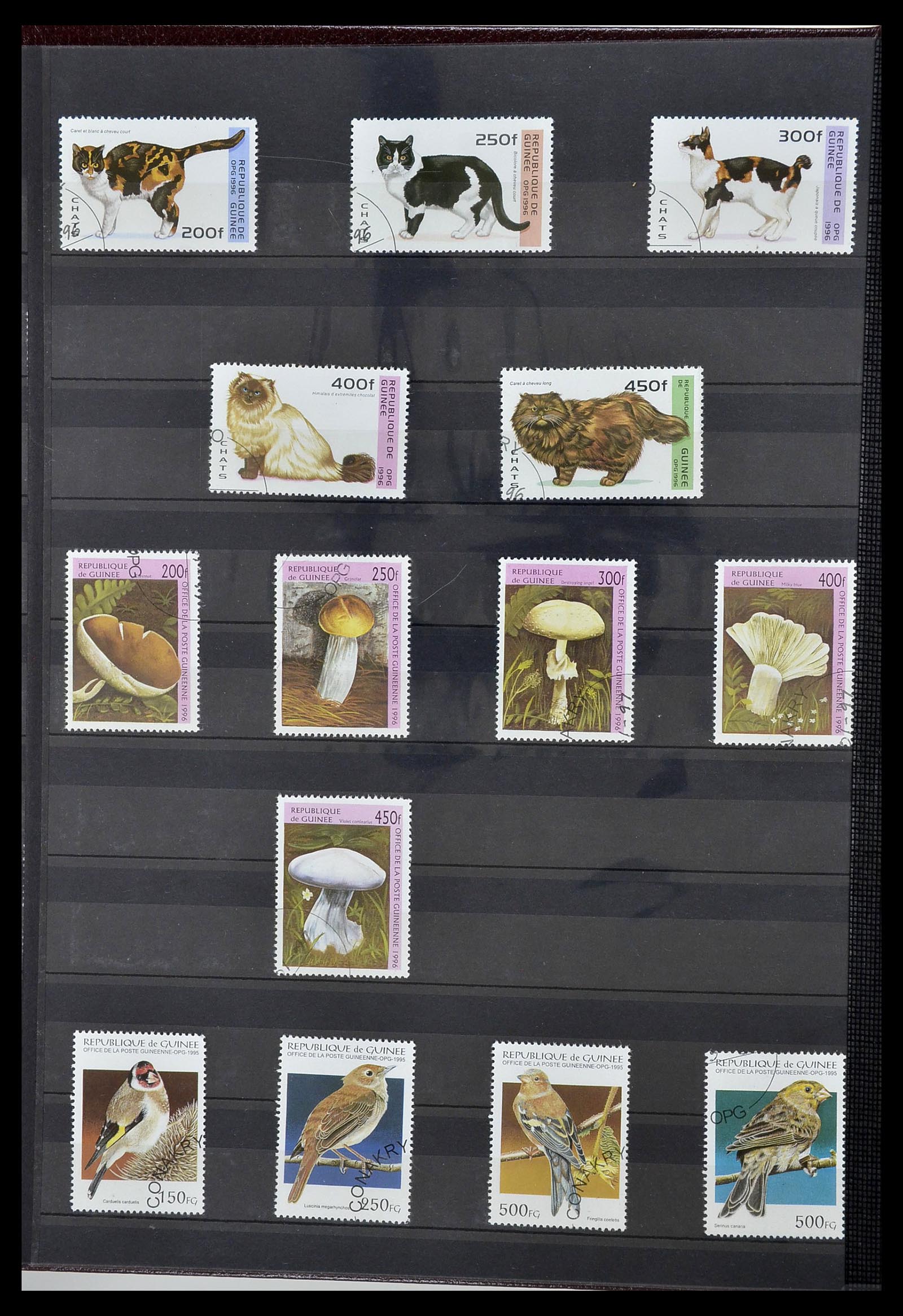 34190 0861 - Postzegelverzameling 34190 Franse koloniën in Afrika 1885-1998.