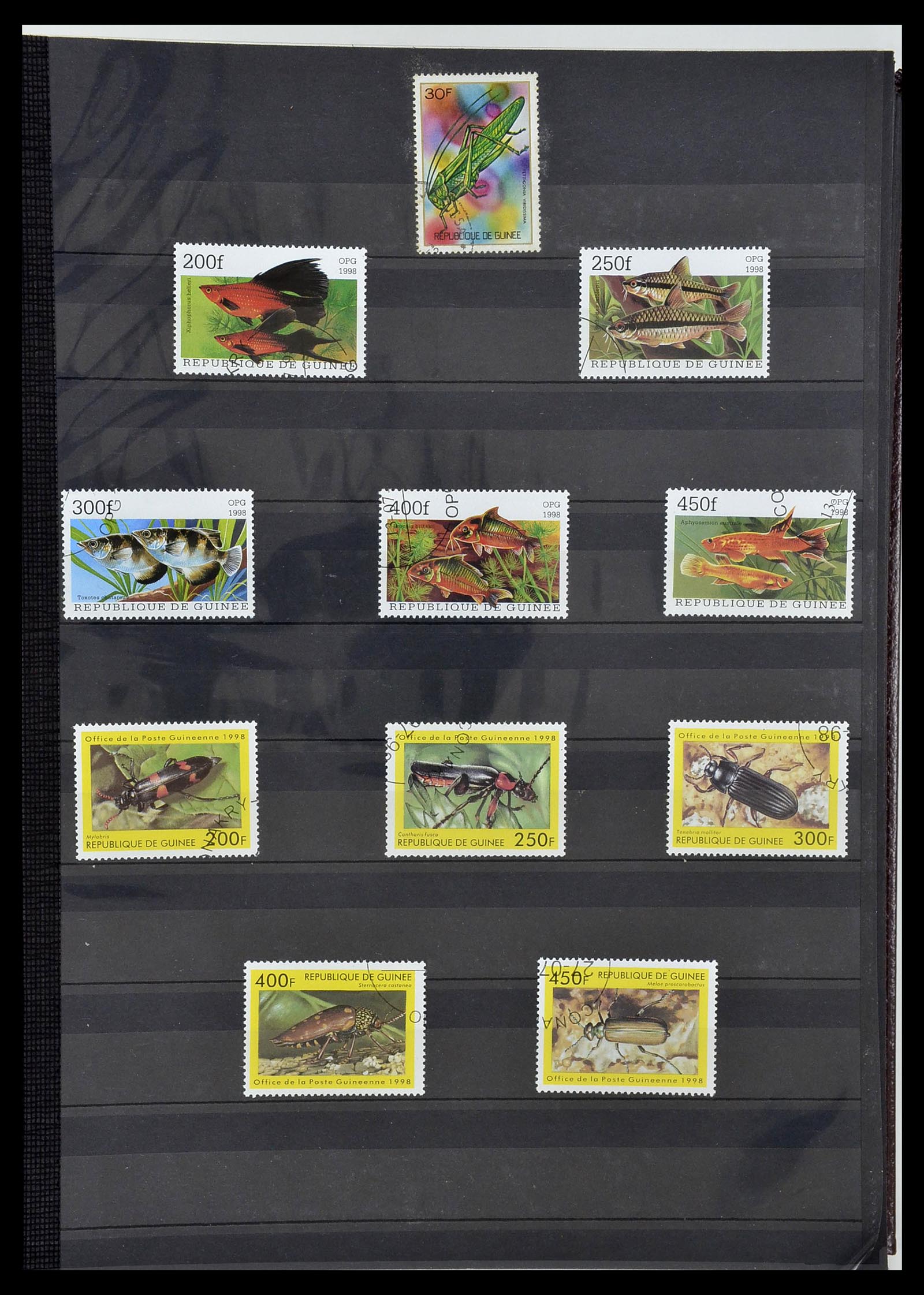 34190 0865 - Postzegelverzameling 34190 Franse koloniën in Afrika 1885-1998.