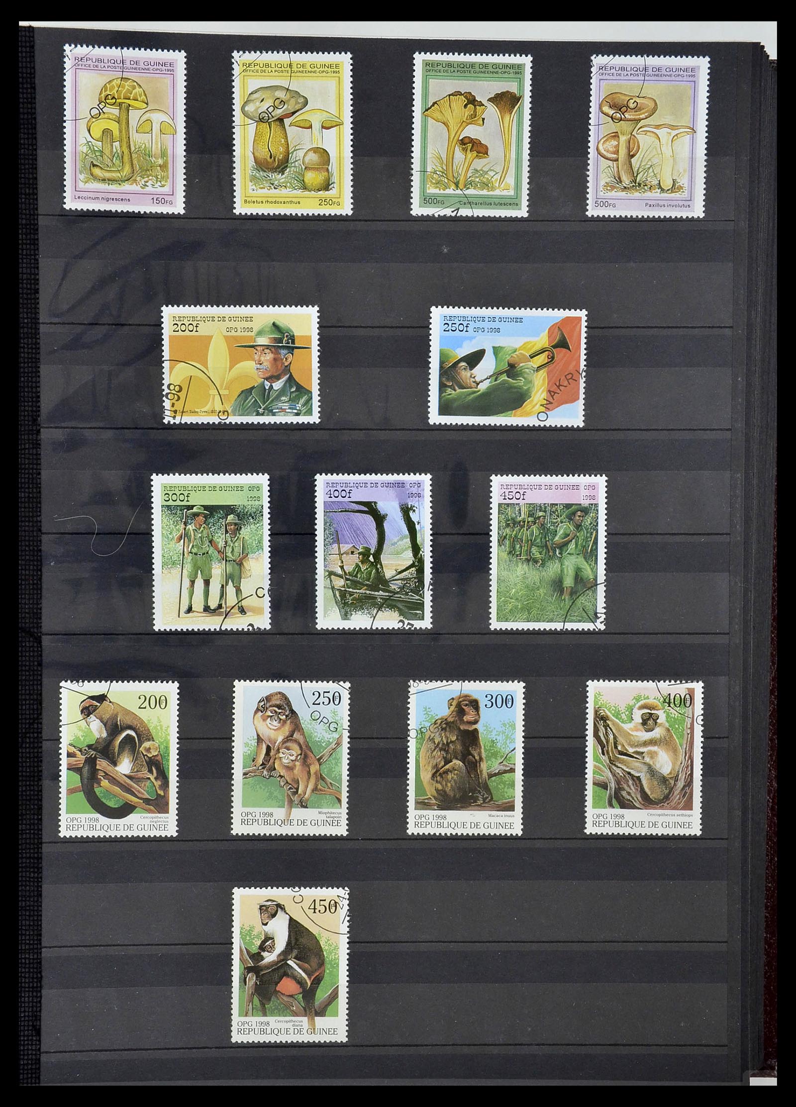 34190 0870 - Postzegelverzameling 34190 Franse koloniën in Afrika 1885-1998.