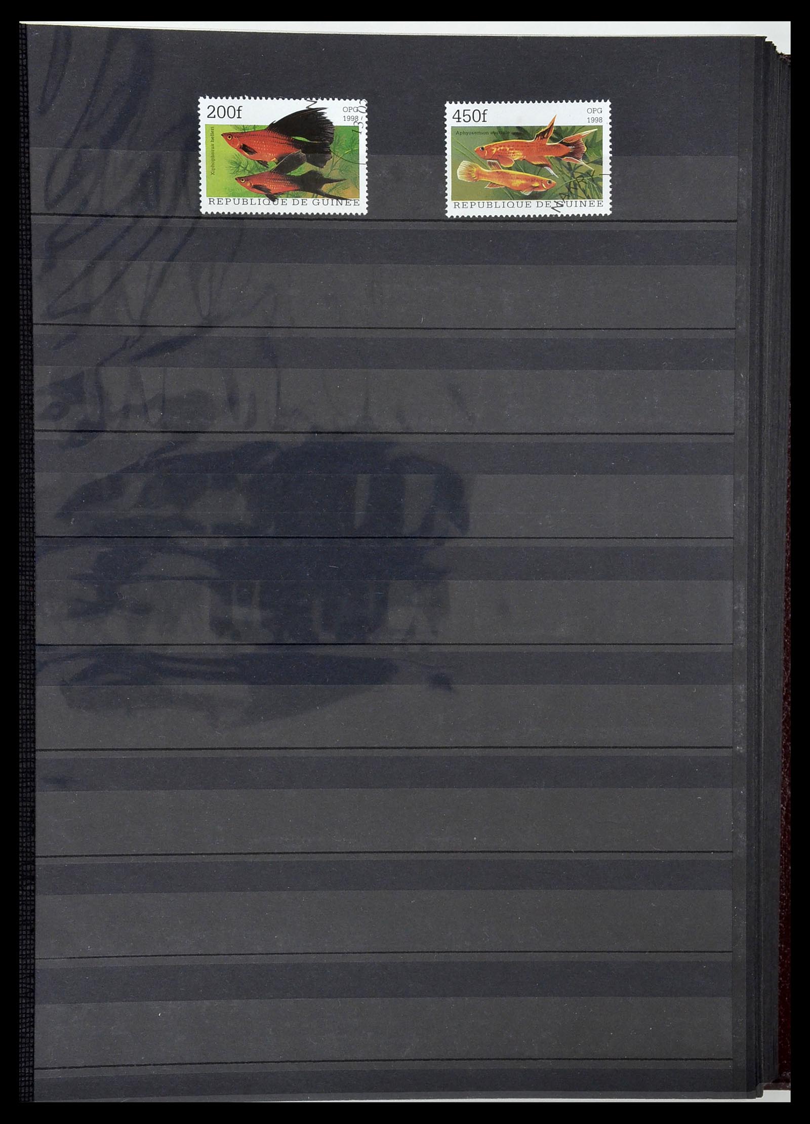 34190 0872 - Postzegelverzameling 34190 Franse koloniën in Afrika 1885-1998.