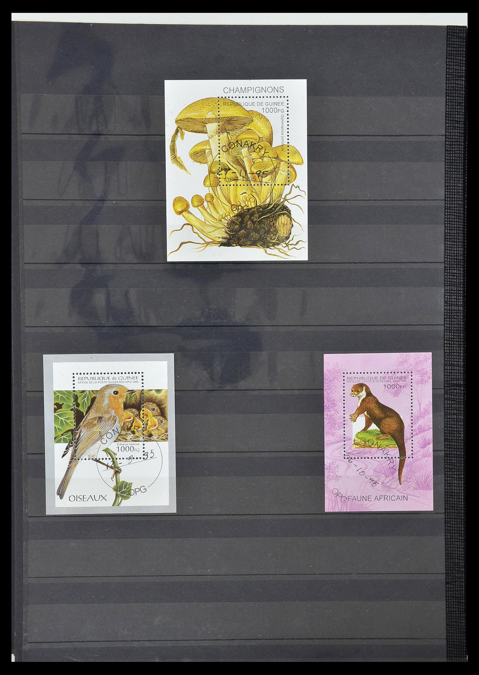 34190 0888 - Postzegelverzameling 34190 Franse koloniën in Afrika 1885-1998.