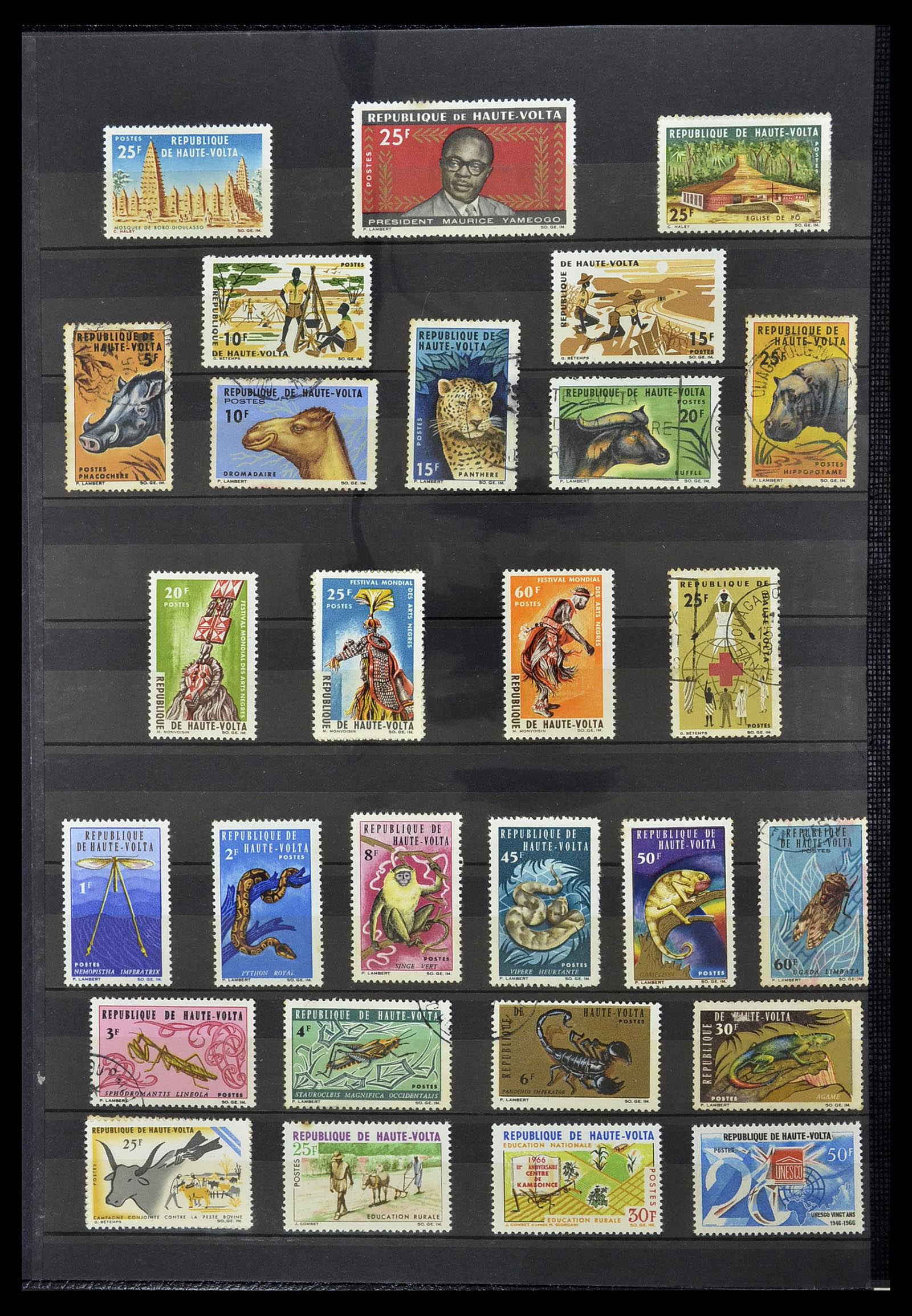 34190 0900 - Postzegelverzameling 34190 Franse koloniën in Afrika 1885-1998.