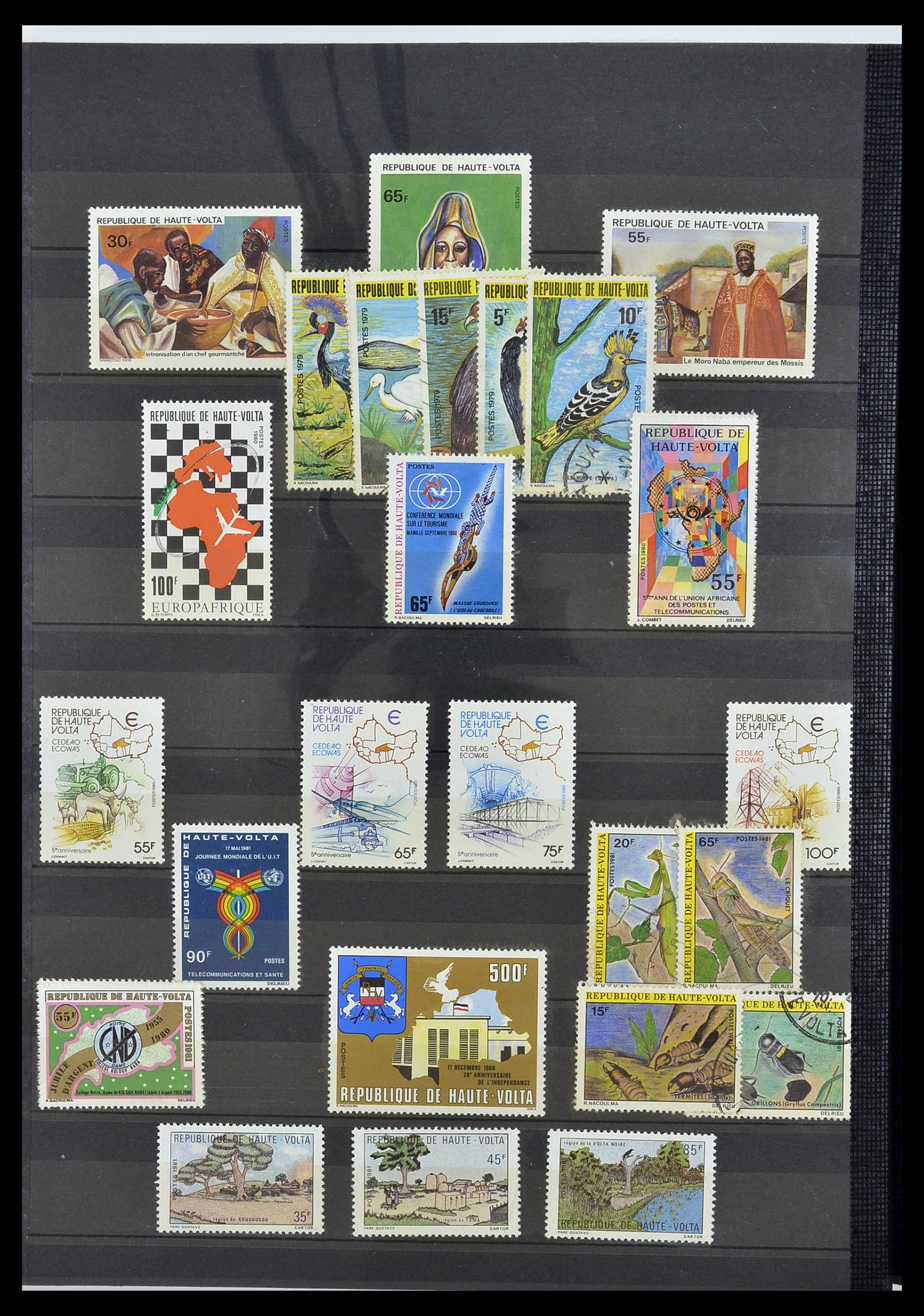 34190 0914 - Postzegelverzameling 34190 Franse koloniën in Afrika 1885-1998.