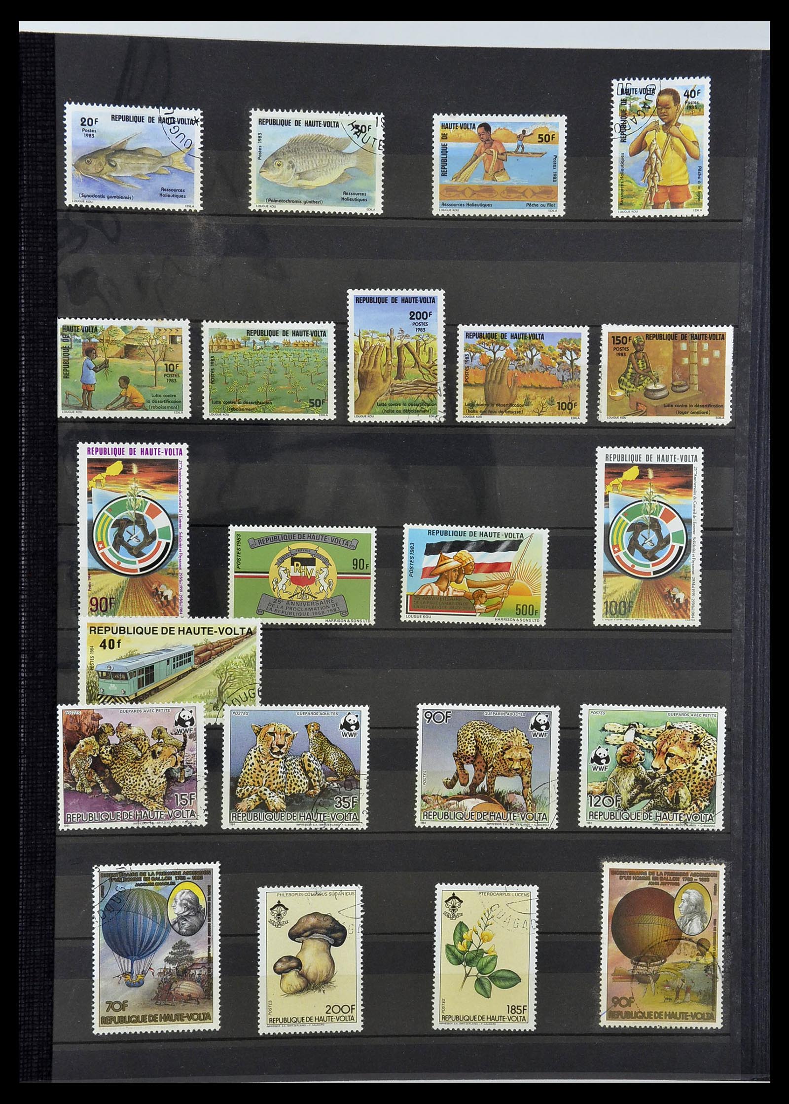 34190 0917 - Postzegelverzameling 34190 Franse koloniën in Afrika 1885-1998.