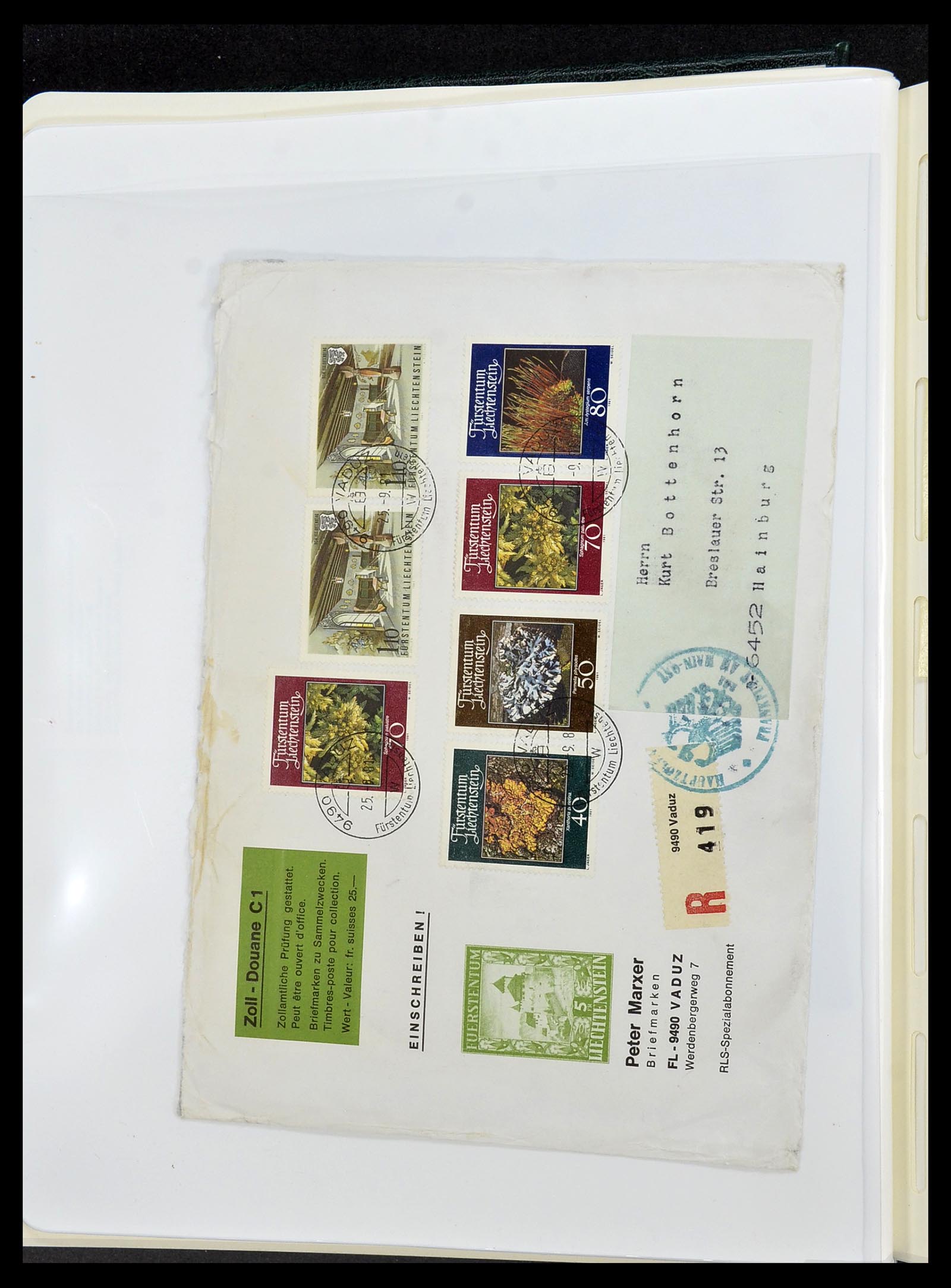 34231 131 - Postzegelverzameling 34231 Liechtenstein 1912-2020!