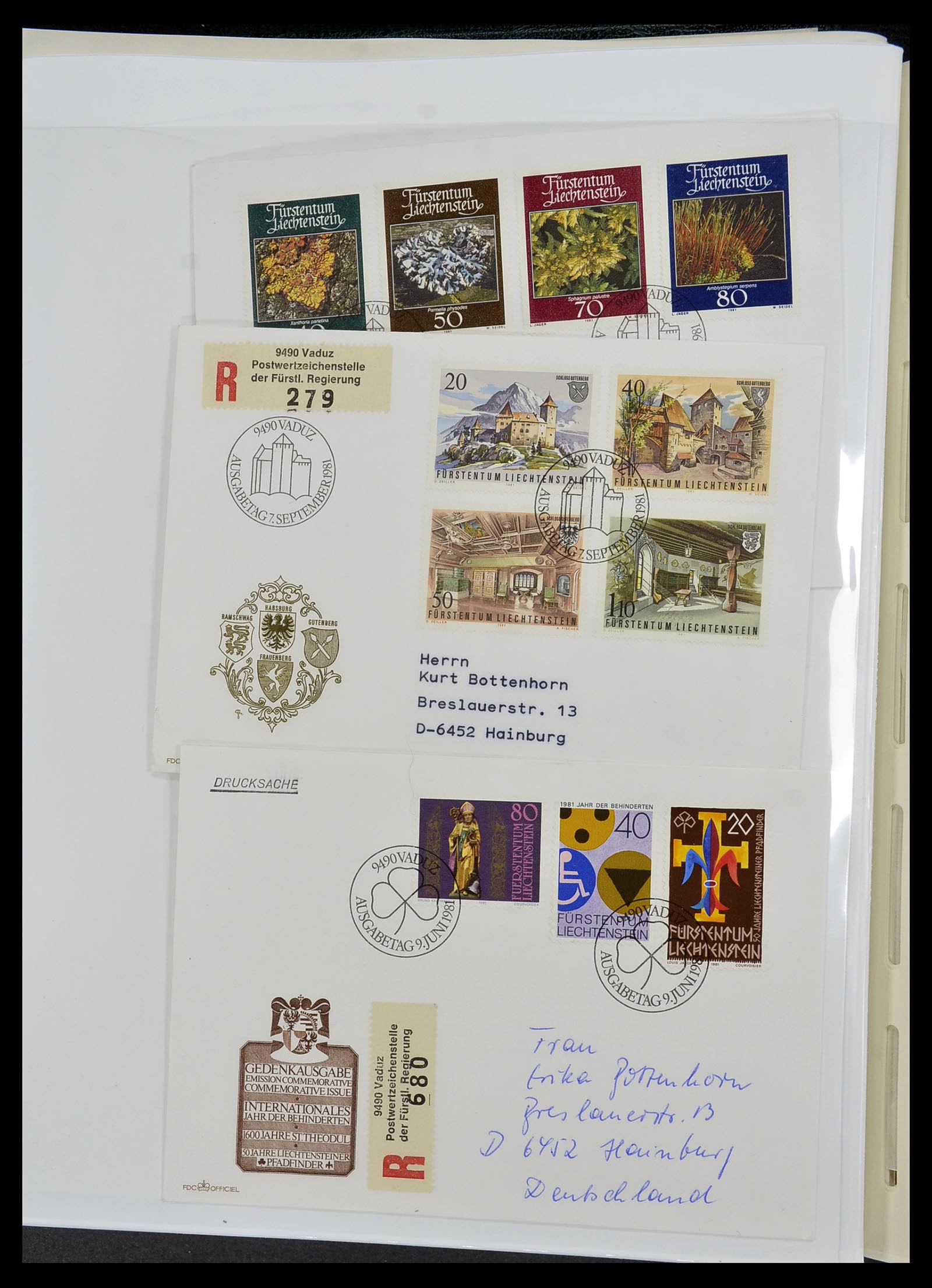 34231 135 - Postzegelverzameling 34231 Liechtenstein 1912-2020!