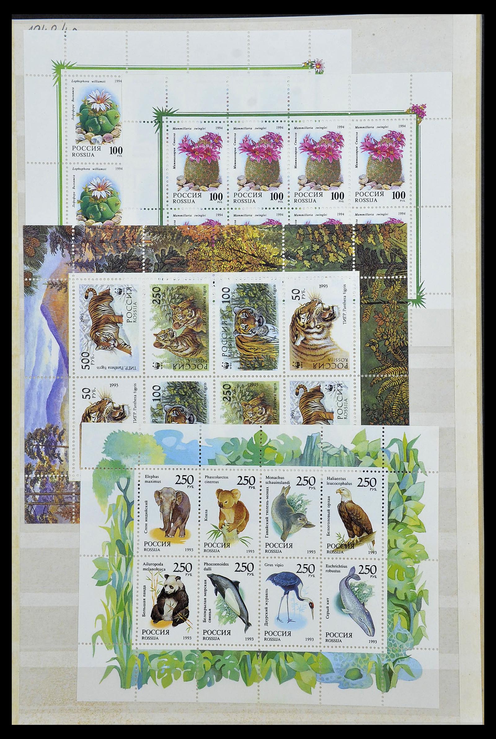 34318 155 - Postzegelverzameling 34318 Rusland 1992-2016!!
