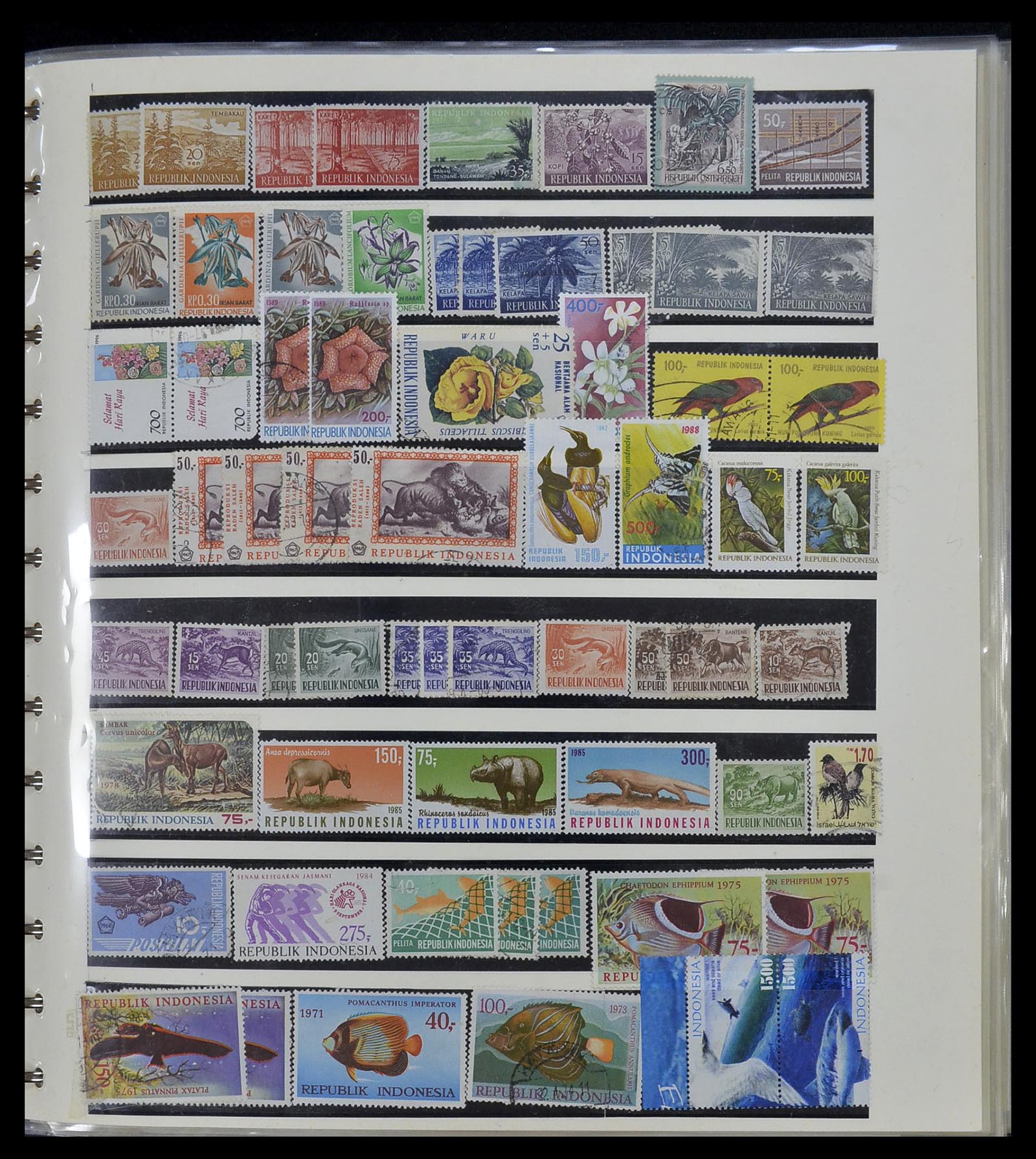 34538 111 - Postzegelverzameling 34538 Indonesië 1951-2005.