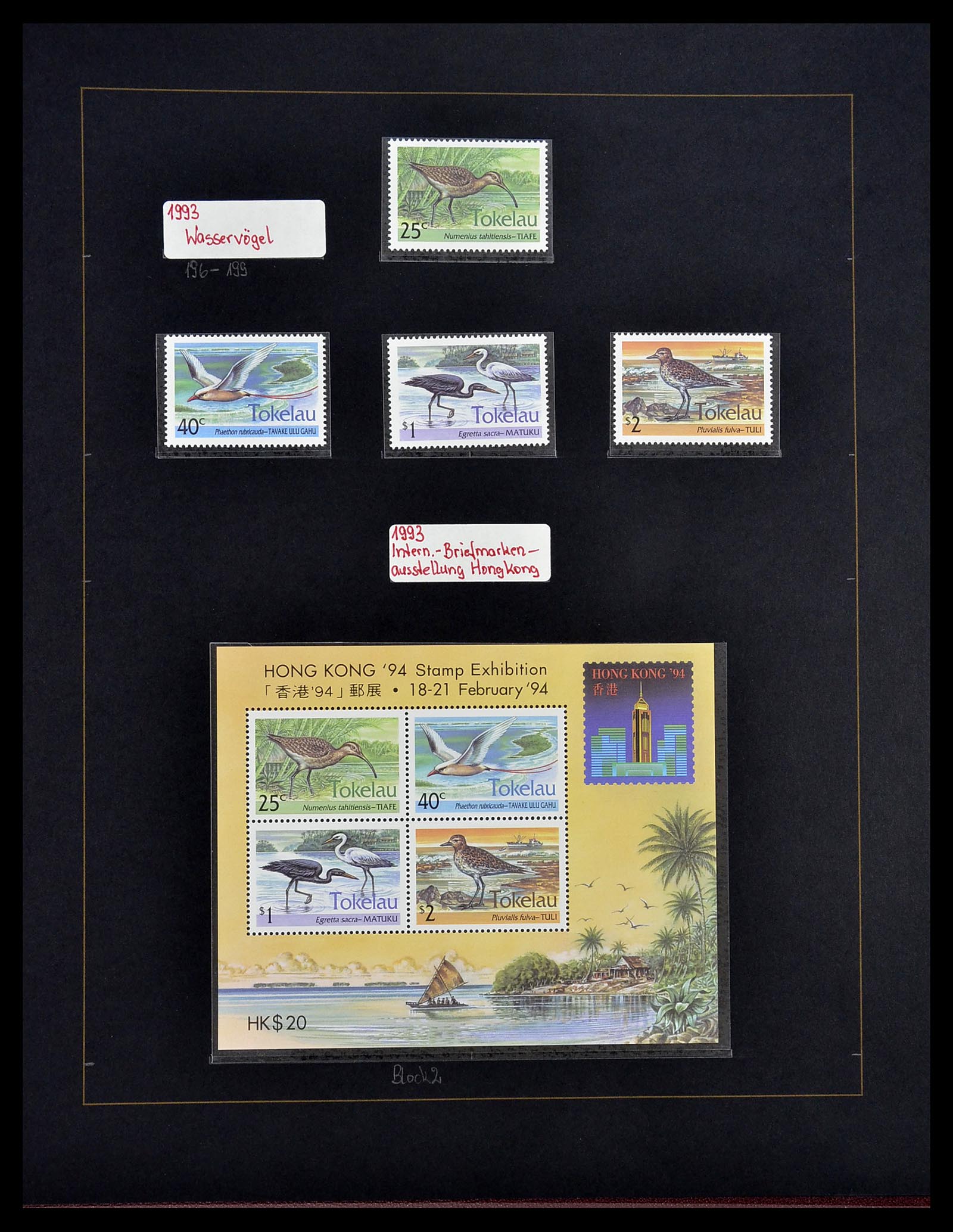 34560 316 - Postzegelverzameling 34560 Engelse gebieden in de stille Zuidzee 1840
