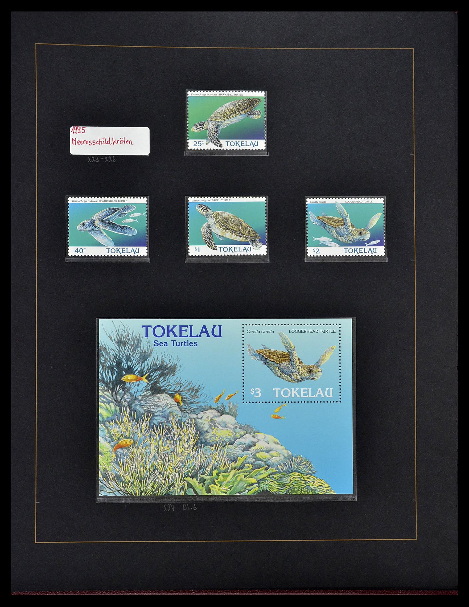 34560 323 - Postzegelverzameling 34560 Engelse gebieden in de stille Zuidzee 1840