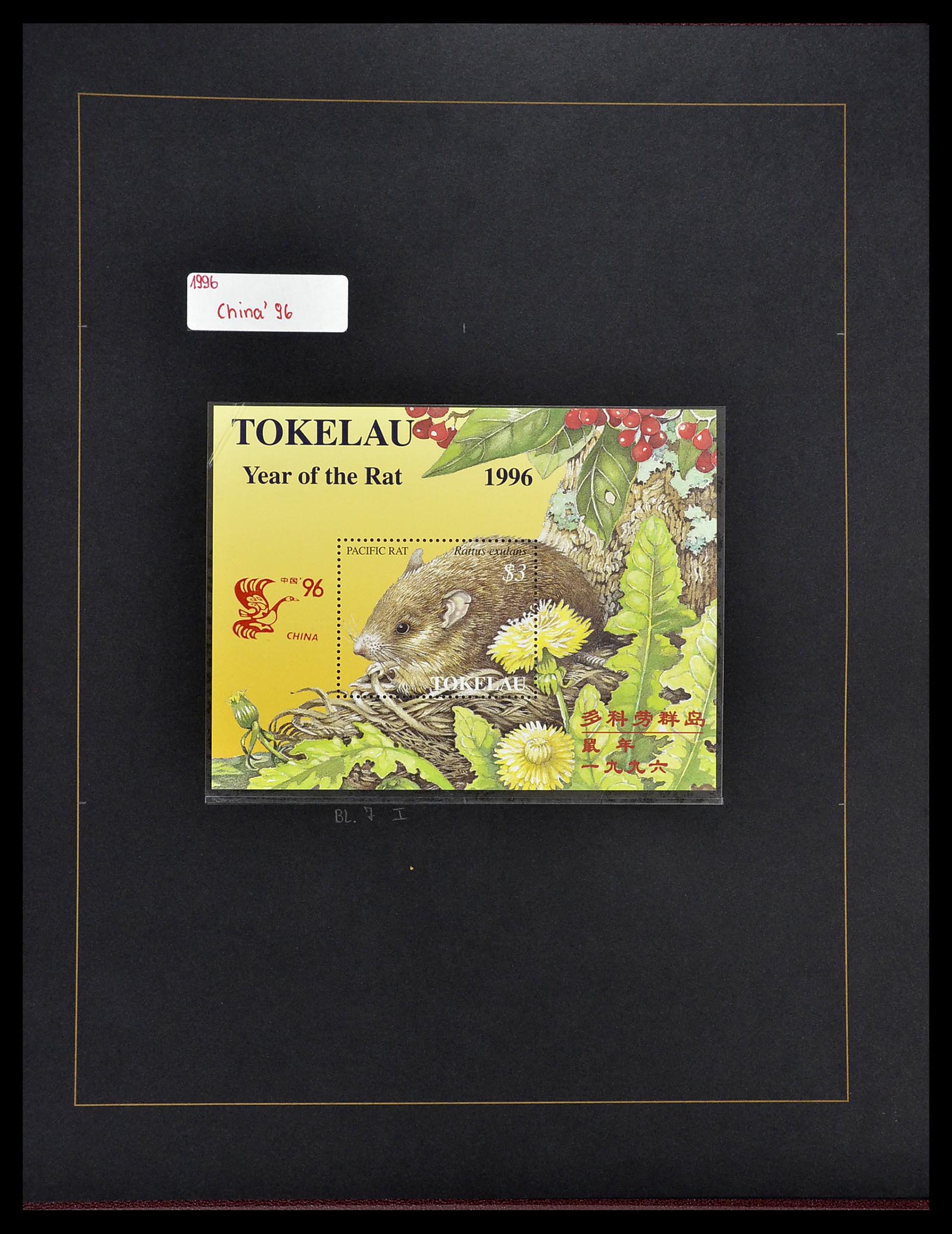 34560 325 - Postzegelverzameling 34560 Engelse gebieden in de stille Zuidzee 1840