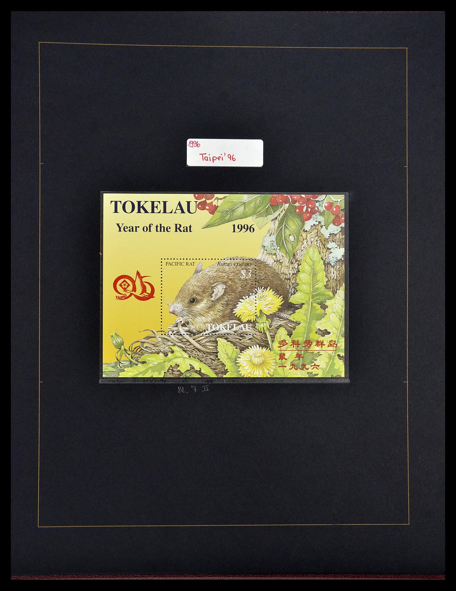 34560 326 - Postzegelverzameling 34560 Engelse gebieden in de stille Zuidzee 1840