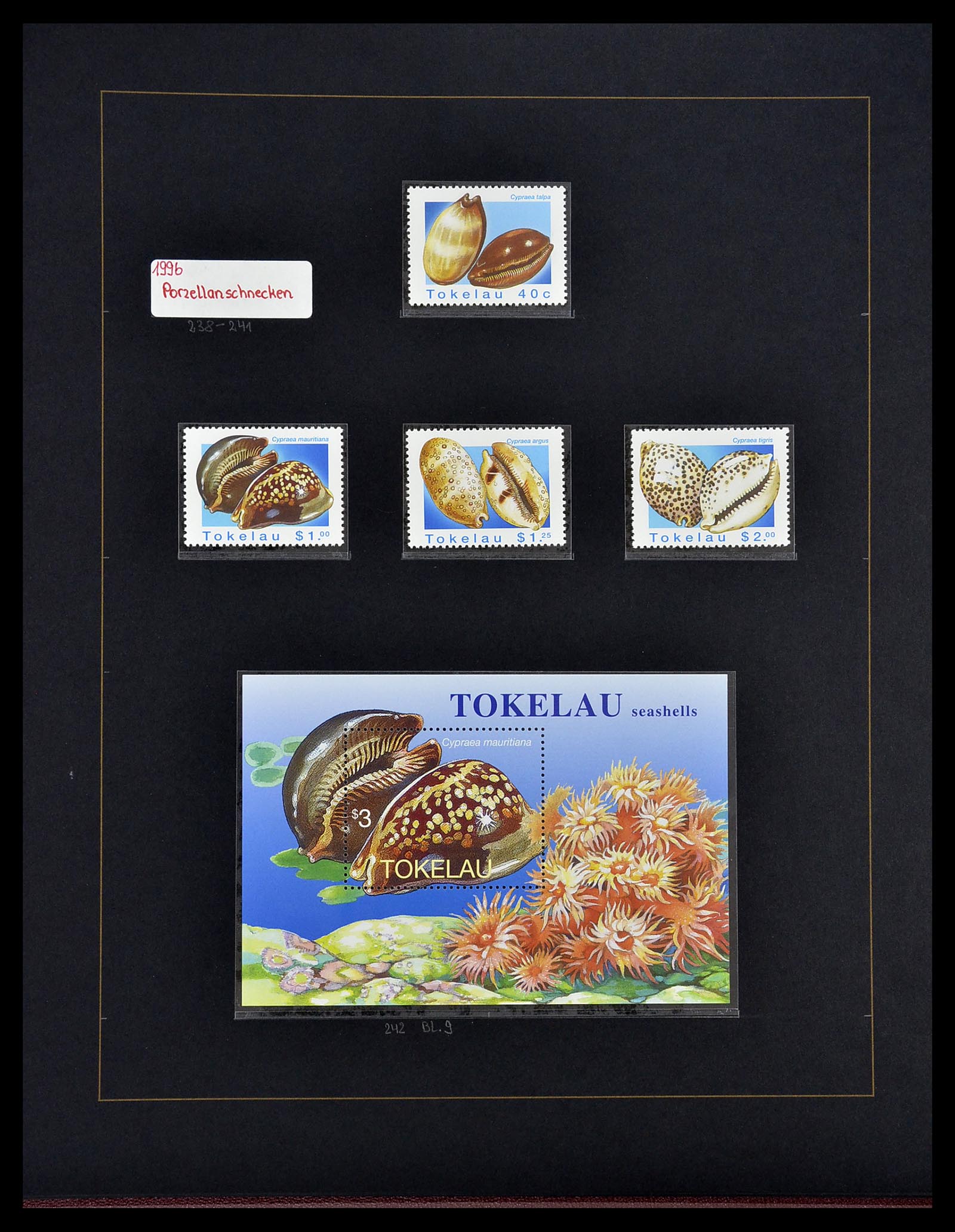 34560 328 - Postzegelverzameling 34560 Engelse gebieden in de stille Zuidzee 1840