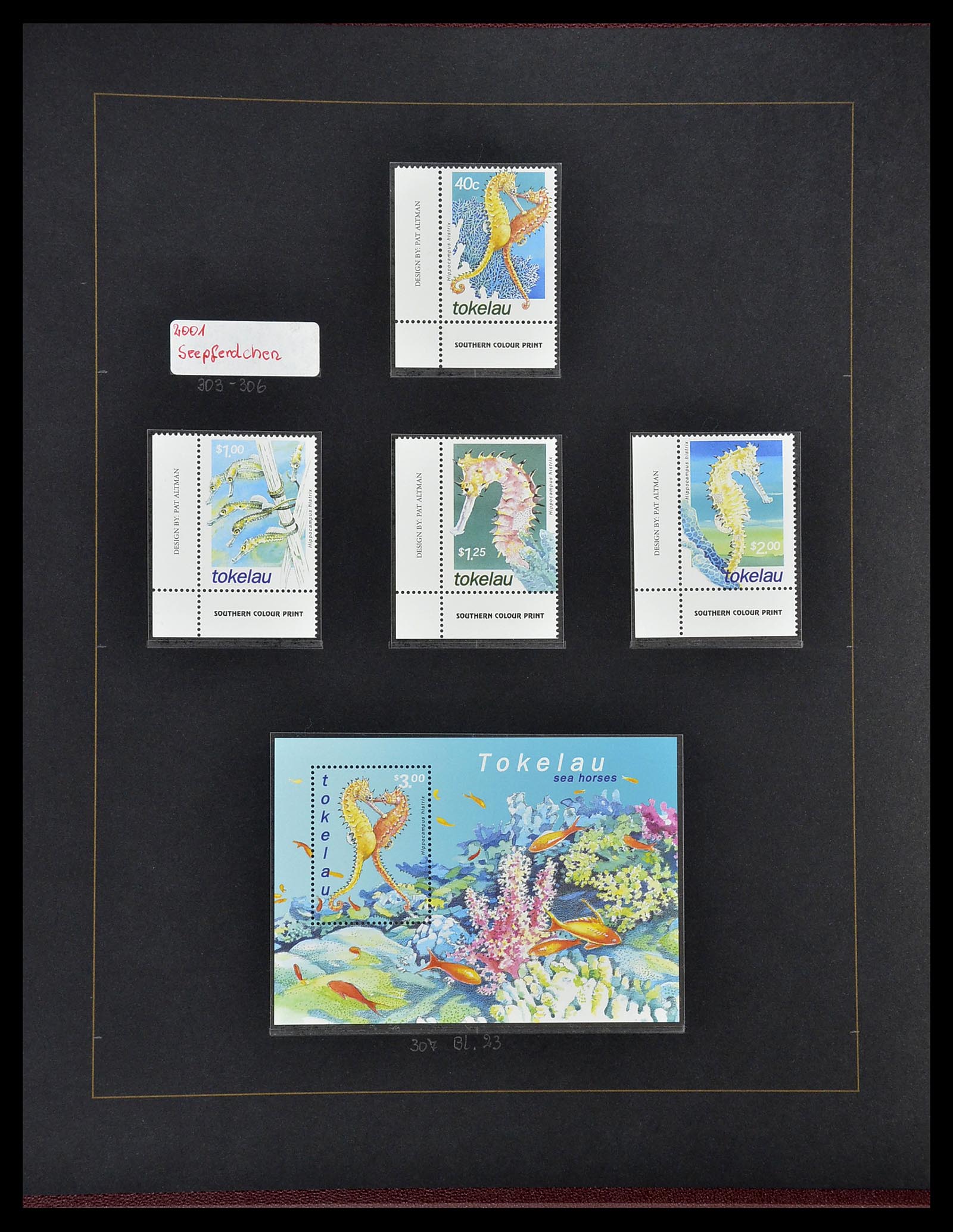 34560 344 - Postzegelverzameling 34560 Engelse gebieden in de stille Zuidzee 1840