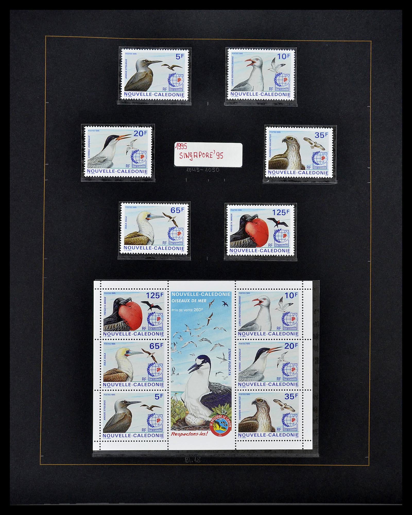 34560 496 - Postzegelverzameling 34560 Engelse gebieden in de stille Zuidzee 1840