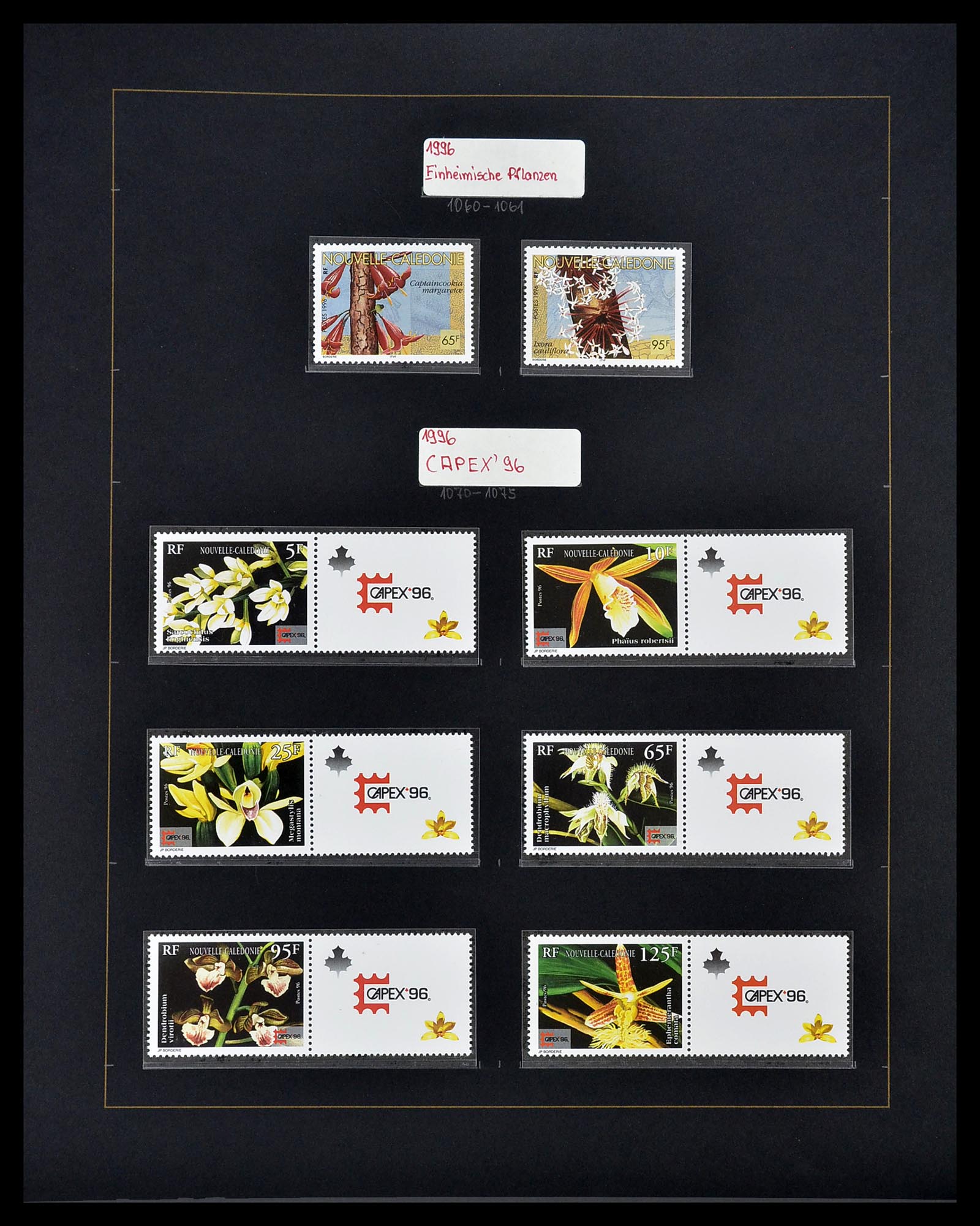 34560 497 - Postzegelverzameling 34560 Engelse gebieden in de stille Zuidzee 1840