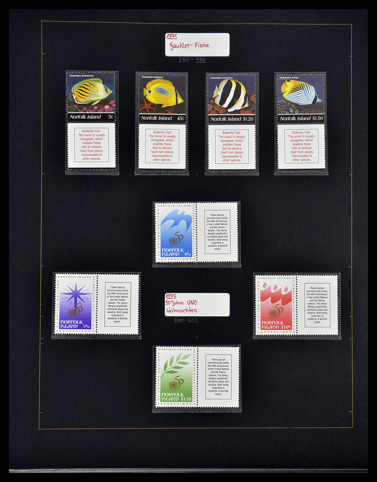 34560 517 - Postzegelverzameling 34560 Engelse gebieden in de stille Zuidzee 1840