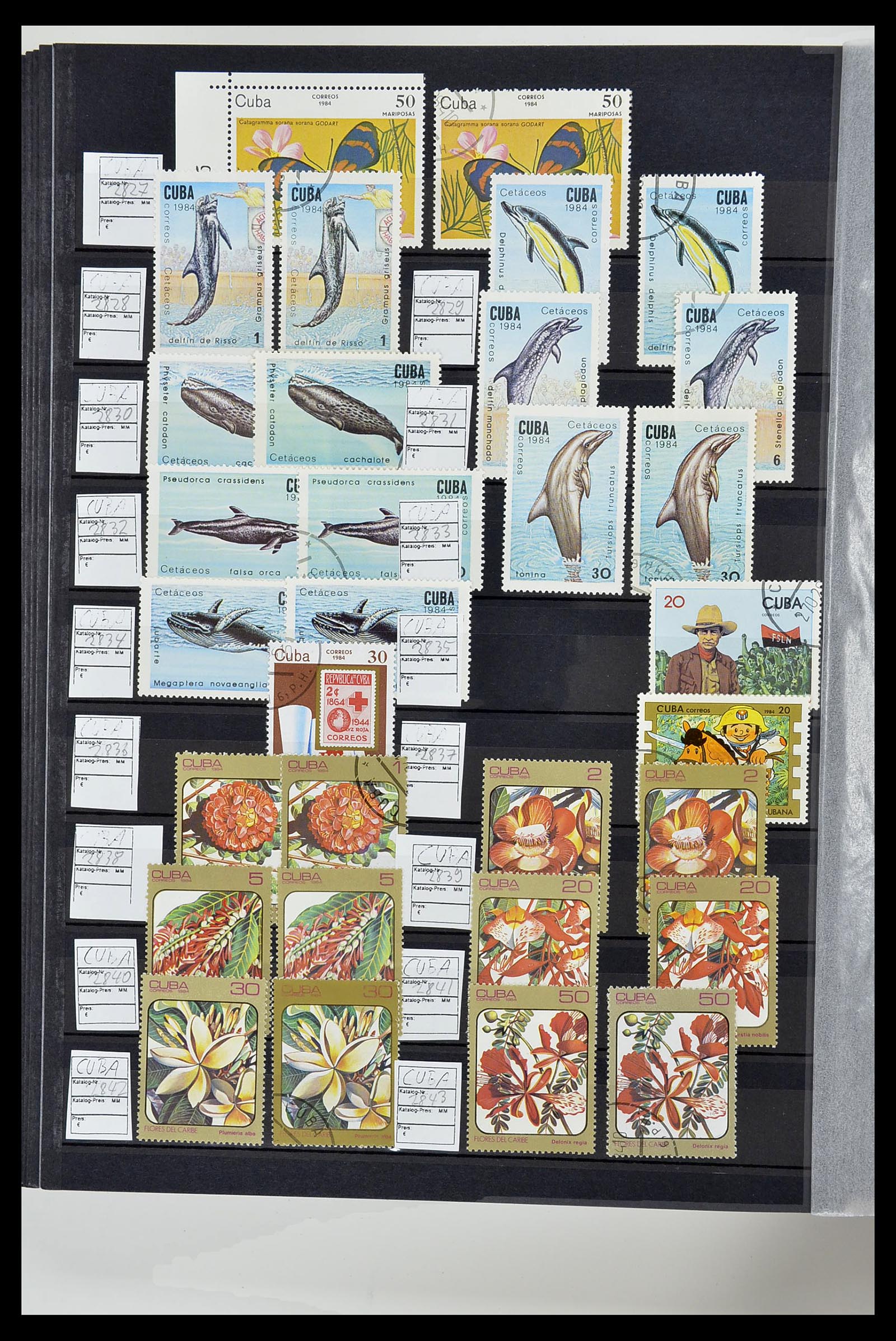 34566 156 - Postzegelverzameling 34566 Cuba 1879-2019!!