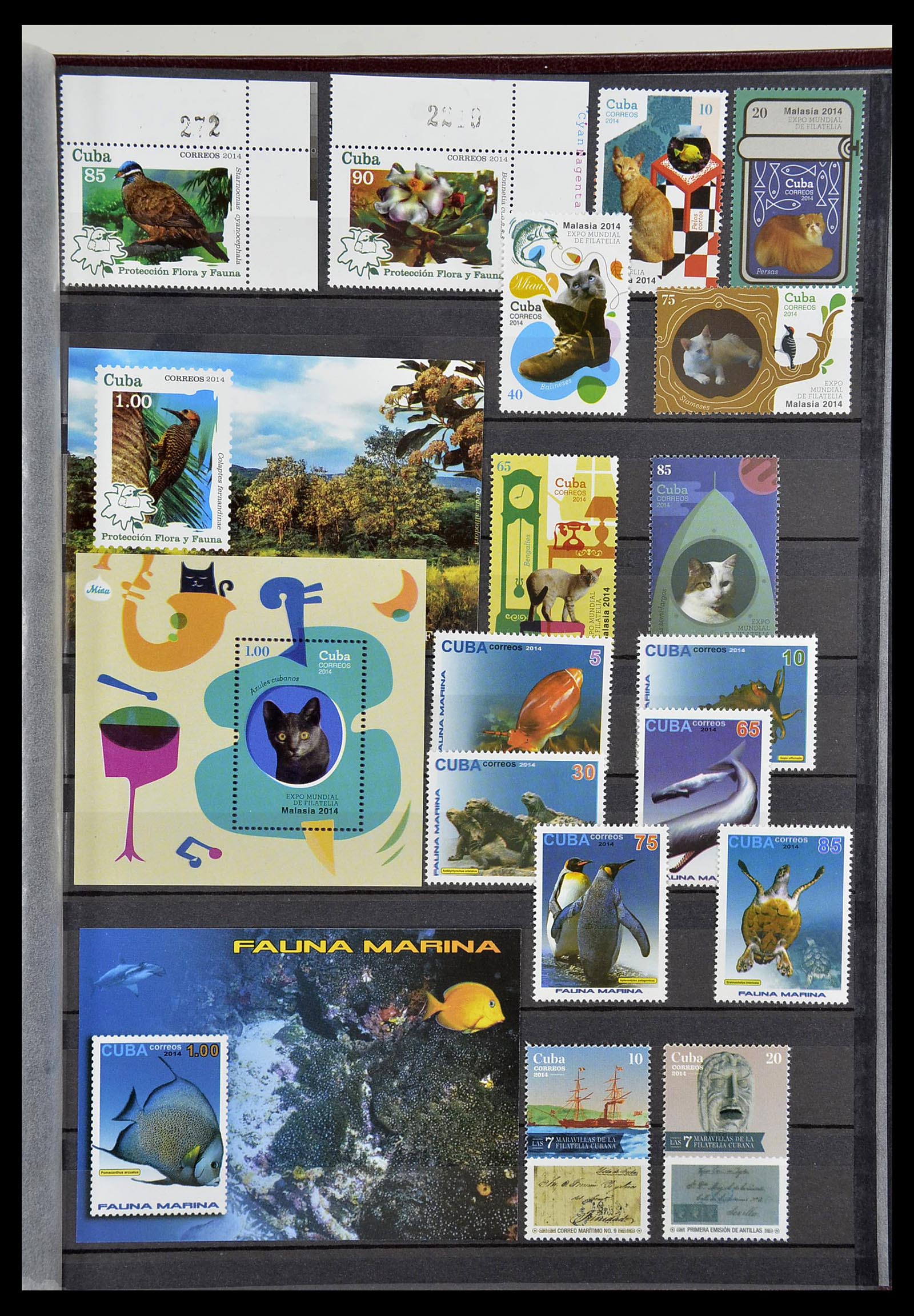 34566 343 - Postzegelverzameling 34566 Cuba 1879-2019!!