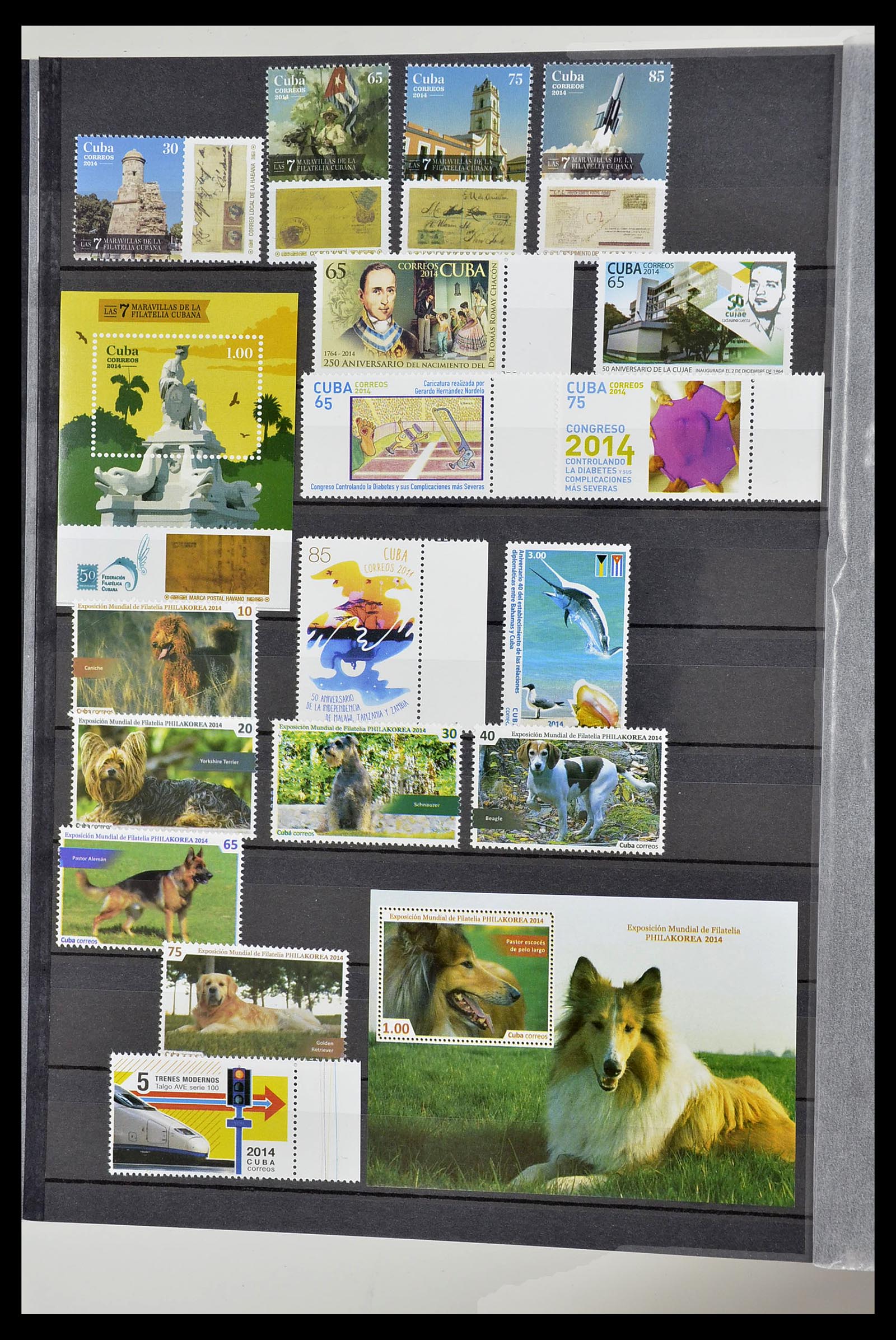 34566 344 - Postzegelverzameling 34566 Cuba 1879-2019!!