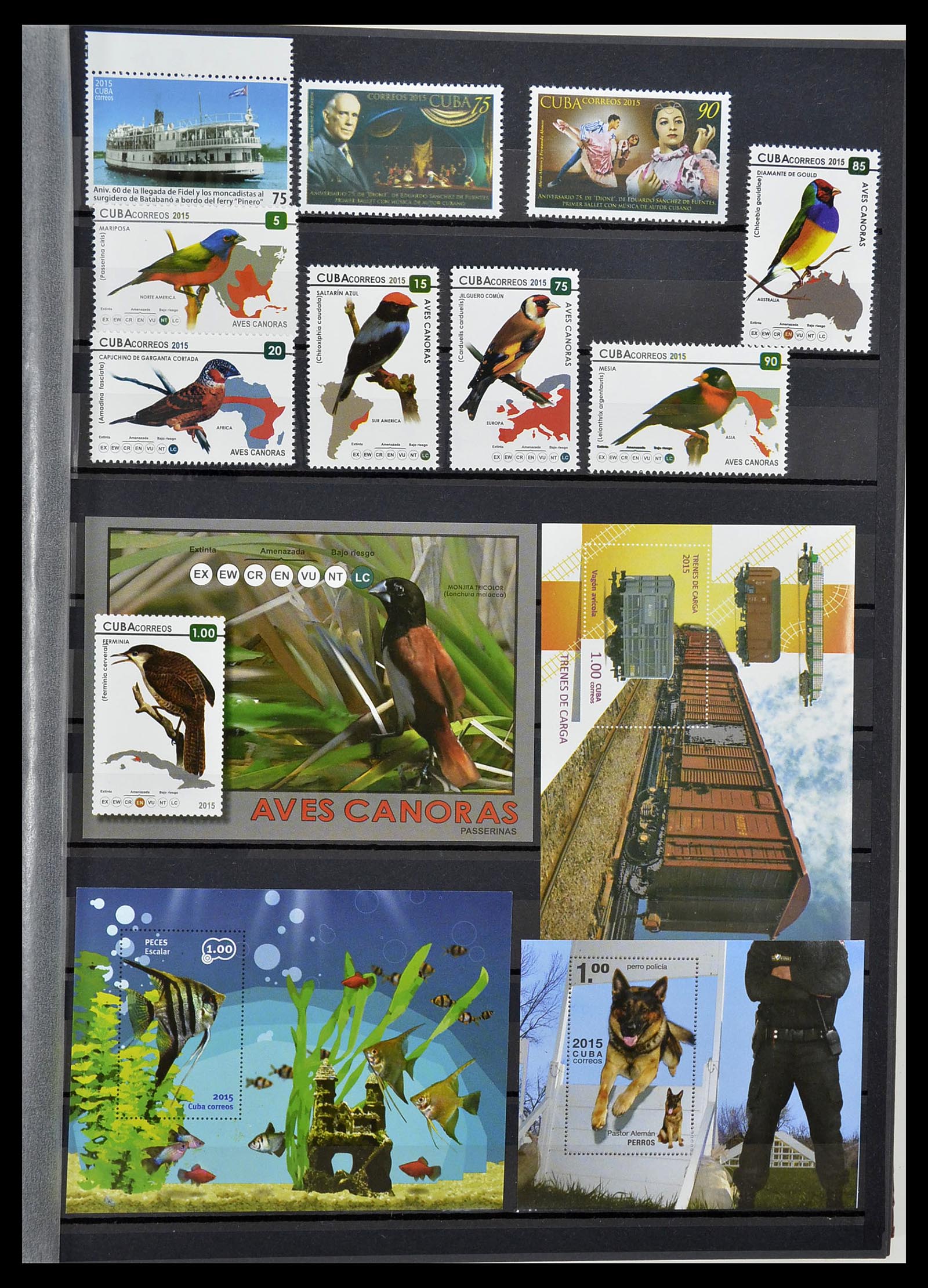 34566 351 - Postzegelverzameling 34566 Cuba 1879-2019!!