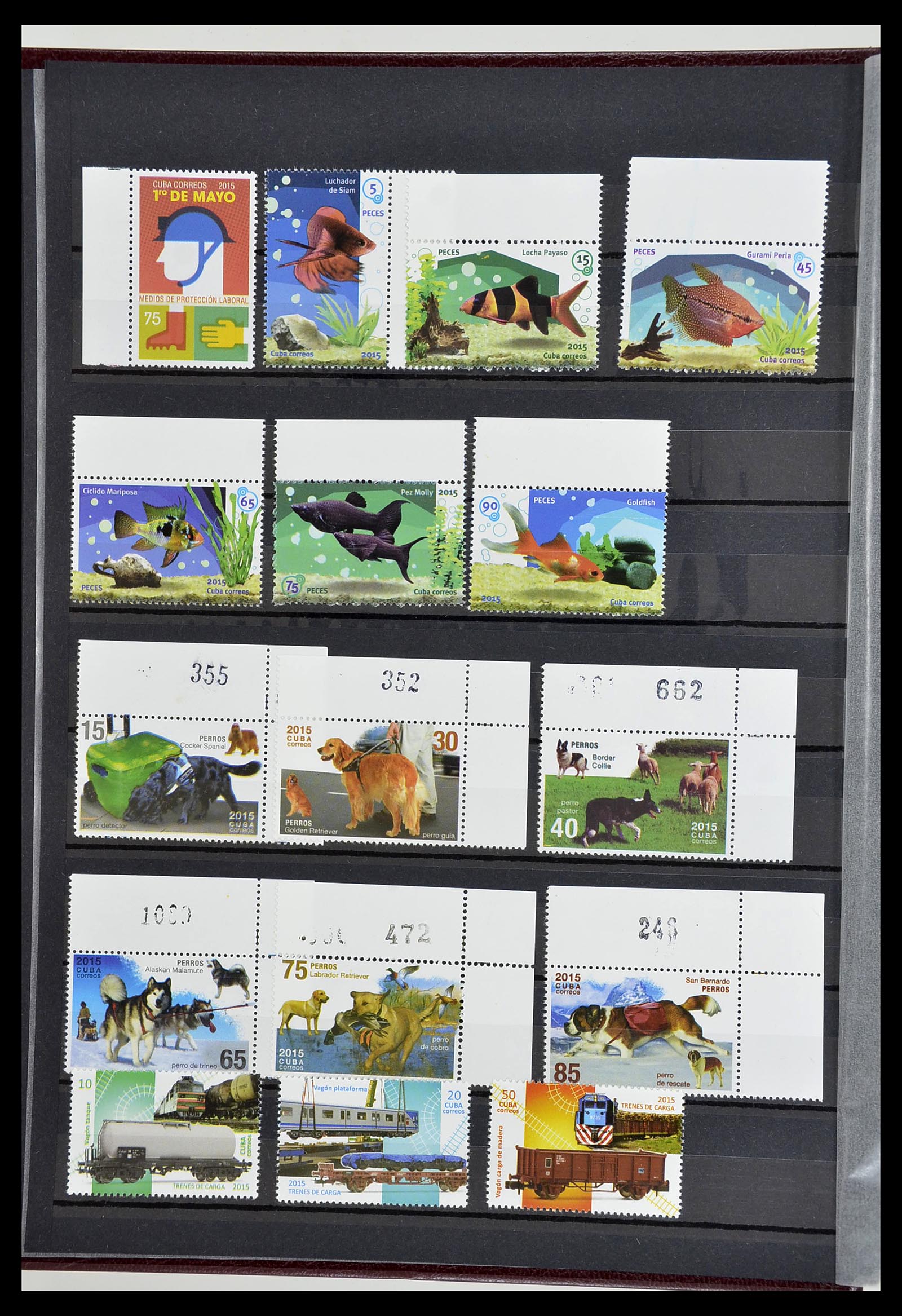 34566 352 - Postzegelverzameling 34566 Cuba 1879-2019!!