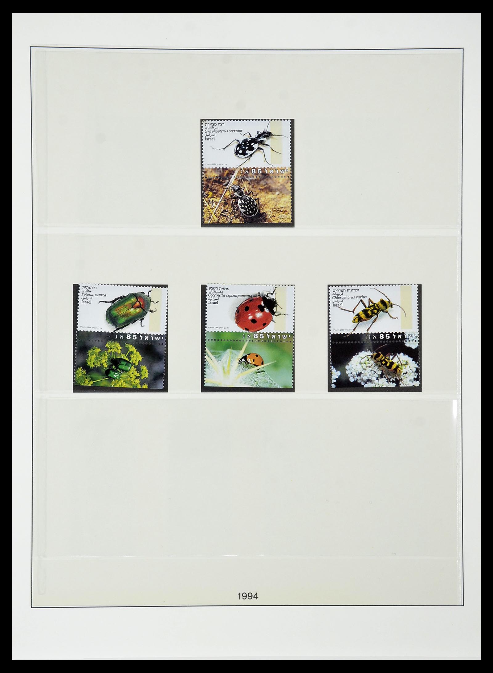 34648 168 - Postzegelverzameling 34648 Israël 1948-2015.