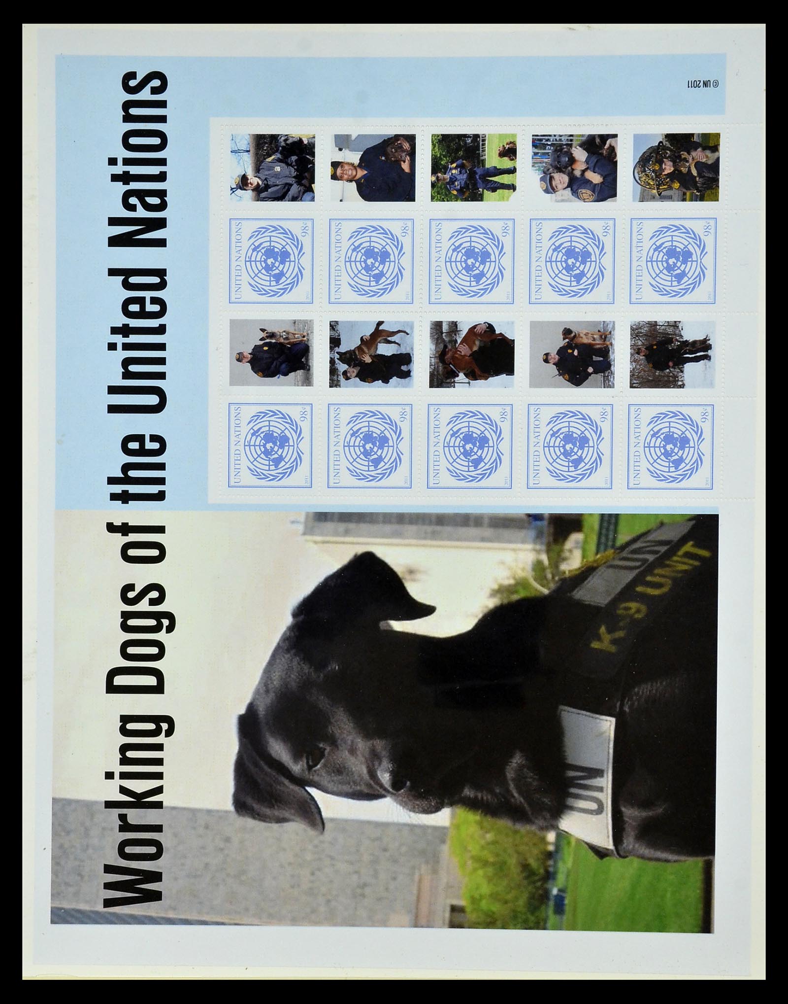 35045 0891 - Postzegelverzameling 35045 Verenigde Naties 1951-2013.