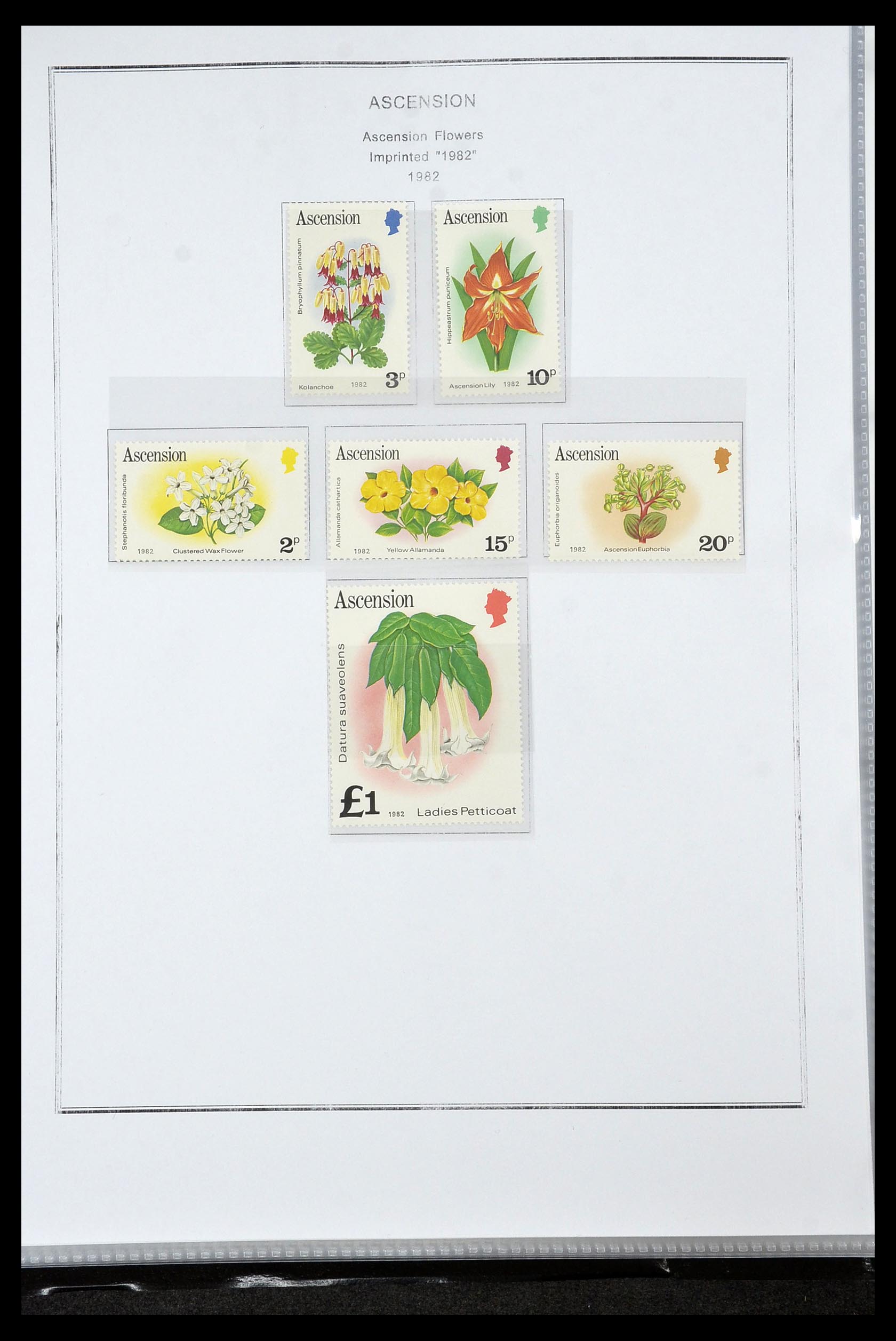 35060 0166 - Postzegelverzameling 35060 Engeland en kolonien 1840-1970.