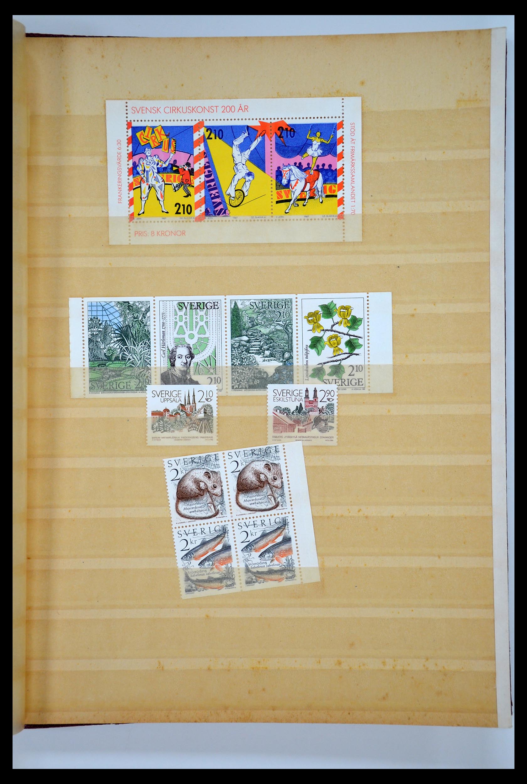 35110 193 - Postzegelverzameling 35110 Zweden 1891-1980.