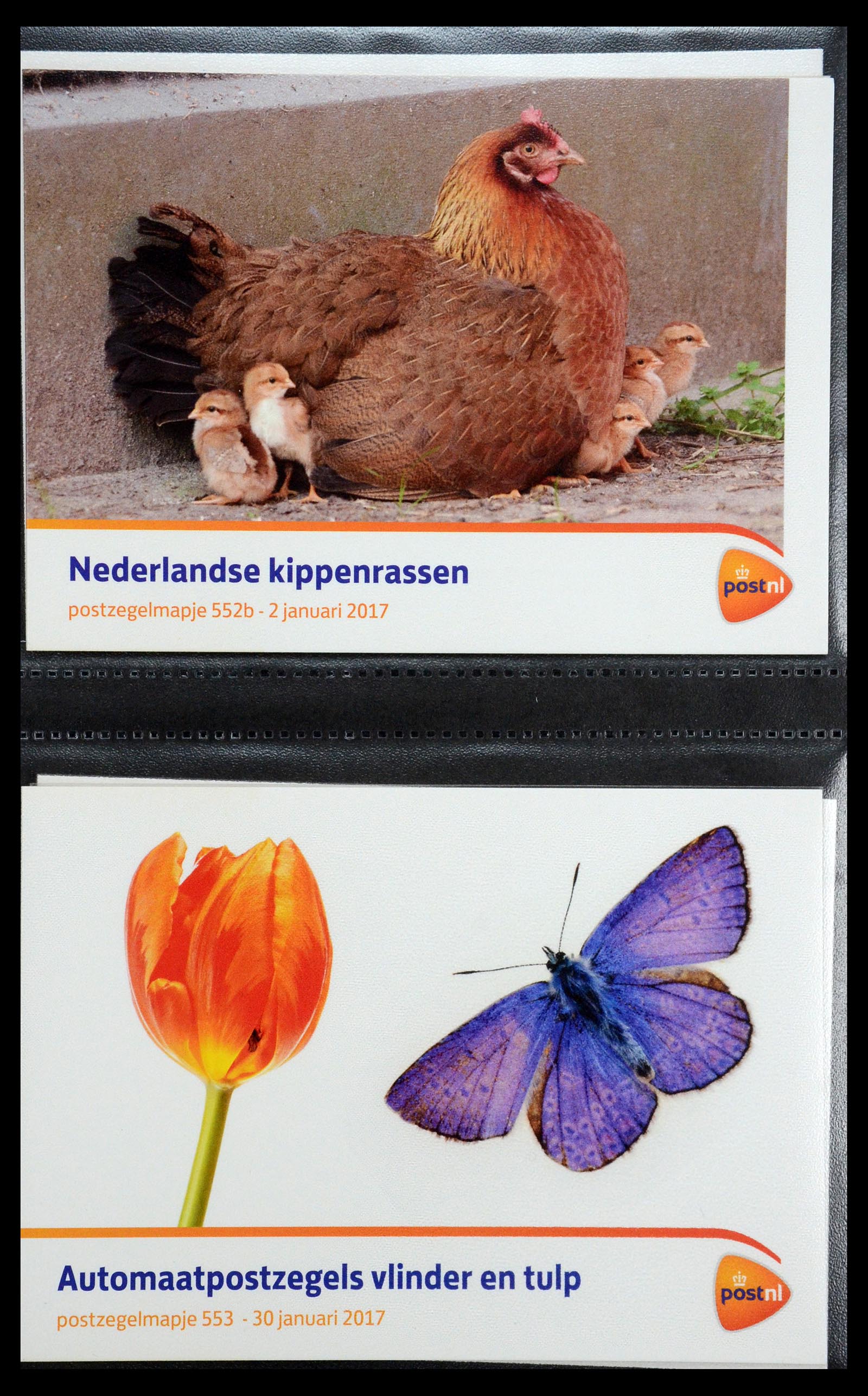 35144 331 - Postzegelverzameling 35144 Nederland PTT mapjes 1982-2021!
